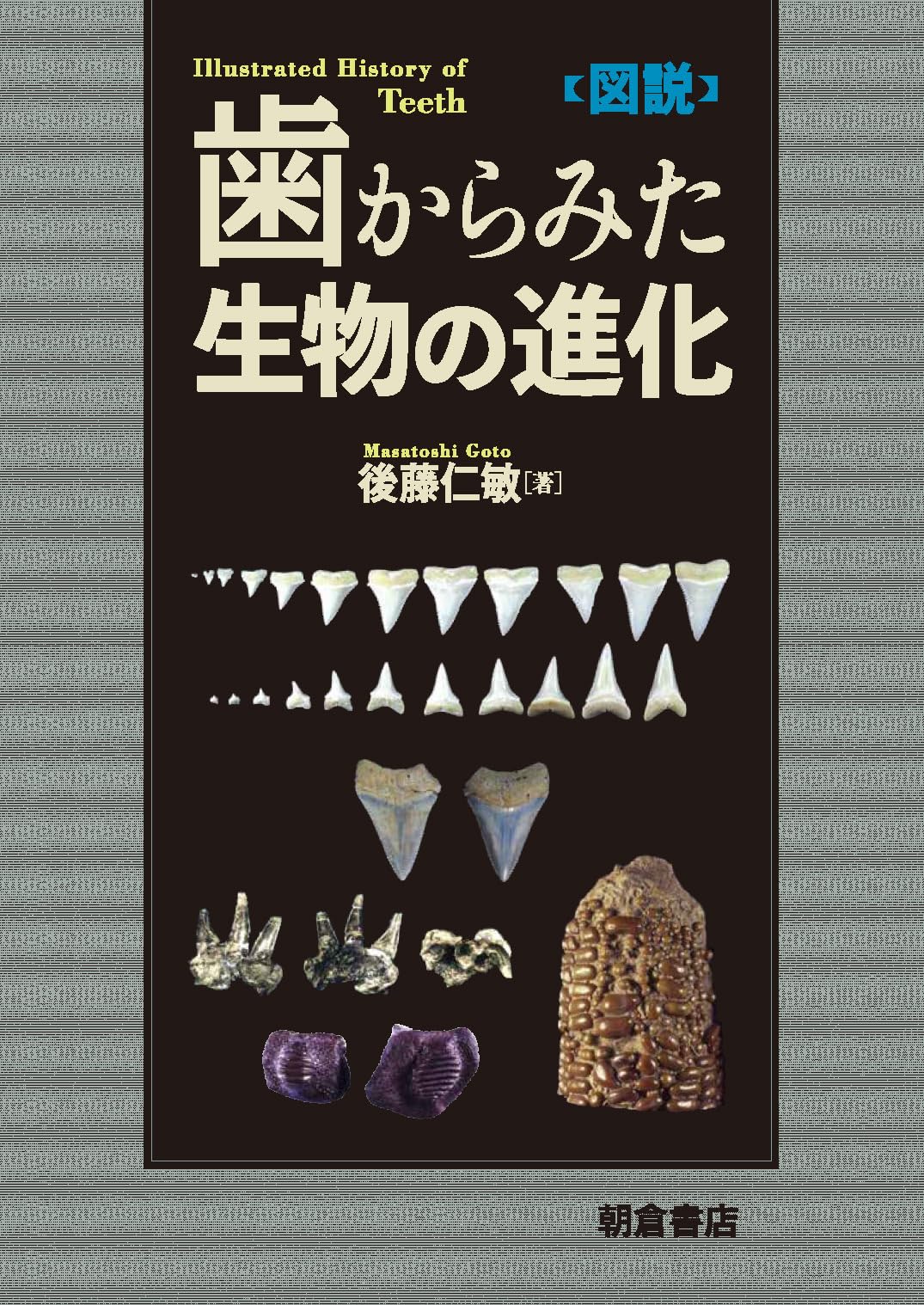 図説 歯からみた生物の進化 | 後藤 仁敏 |本 | 通販 | Amazon