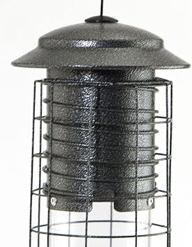 Dragonfly Squirrel Proof Feeder
