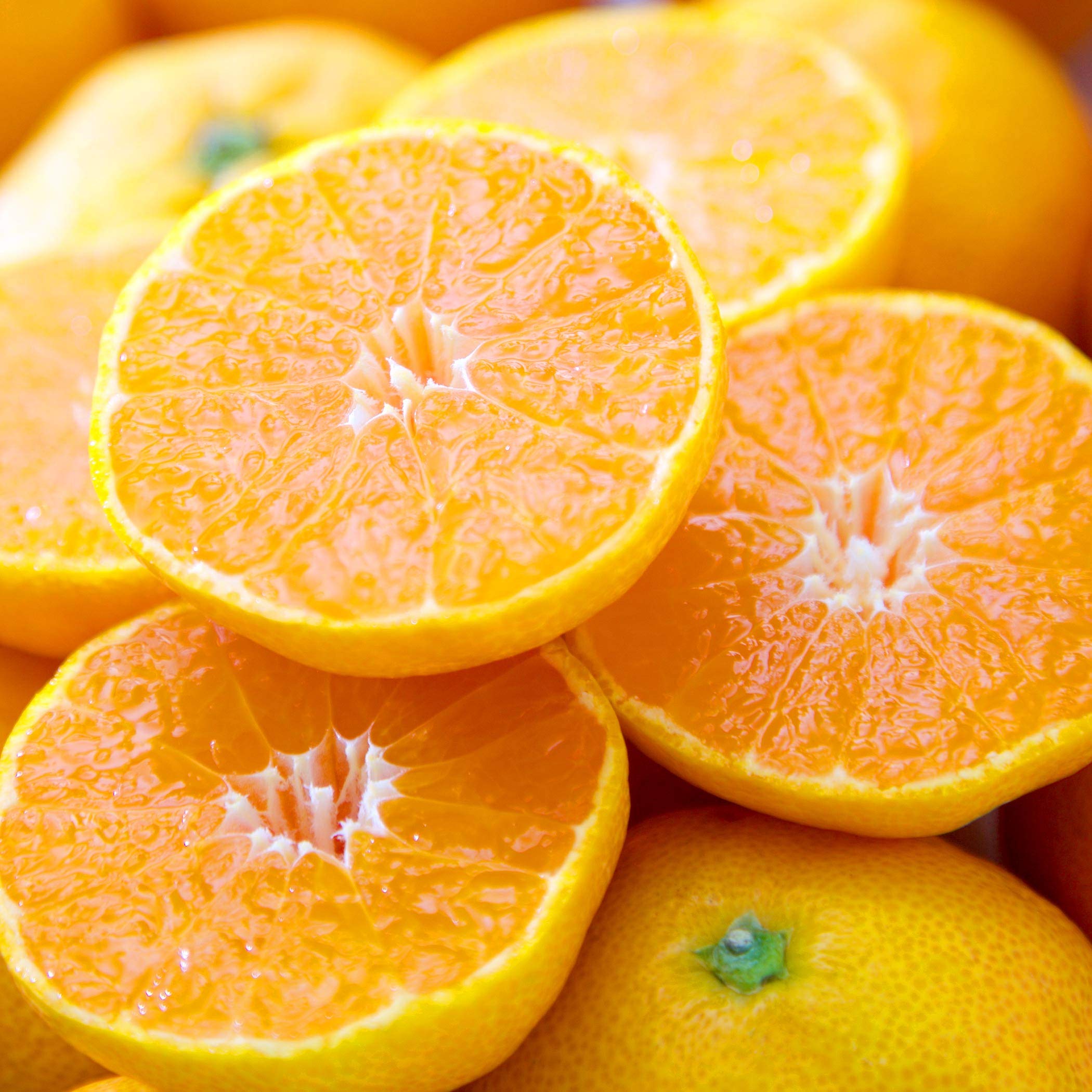Amazon.co.jp: Mandarin Oranges, Box Purchase, 11.0 lbs (5 kg
