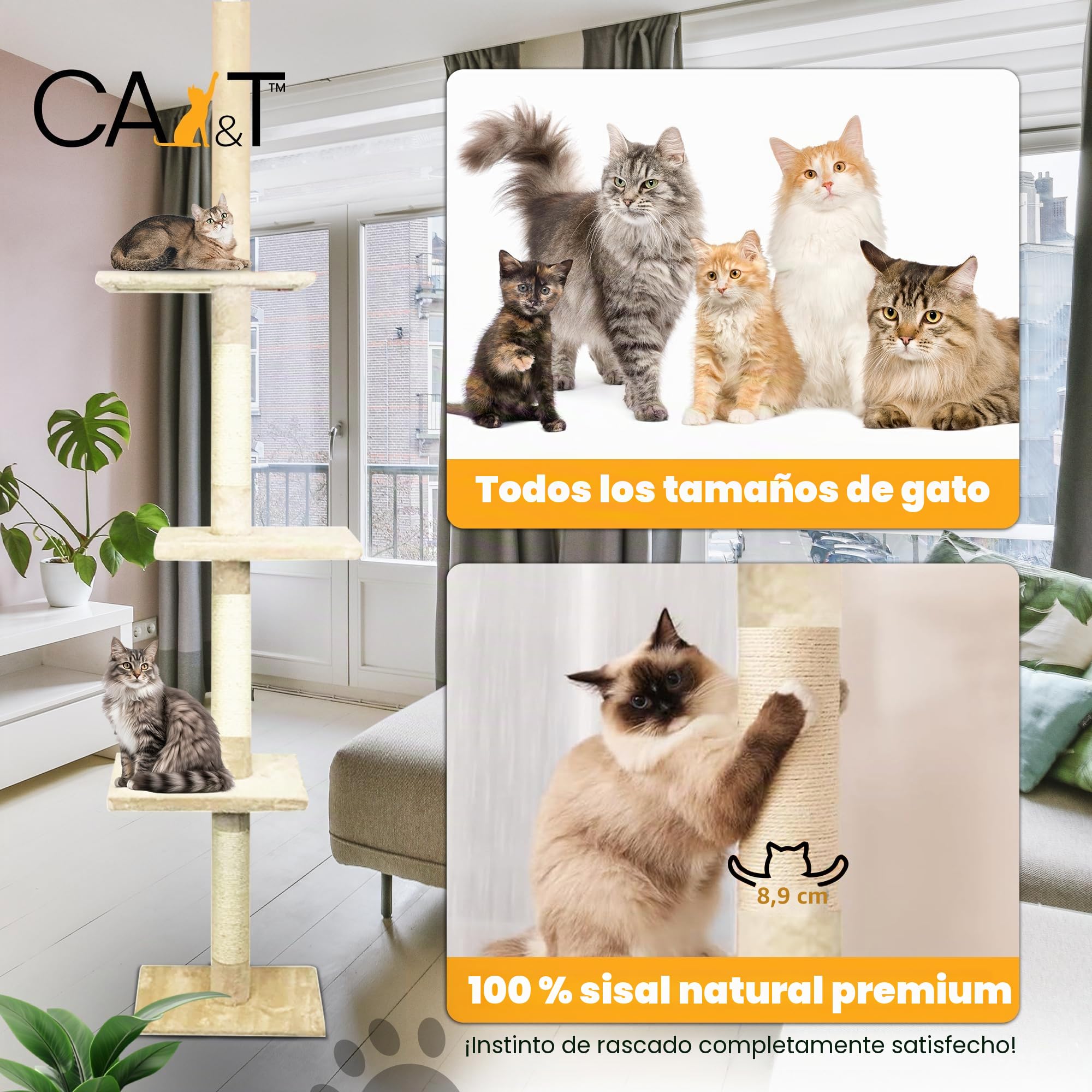 Poste escalador y rascador de suelo a techo para gatos