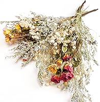 L'BREVOGA Dried Spray Rose Bouquets - 2 Bunches Natural Mini Roses with Baby's Breath for Home Decor, Weddings & Parties