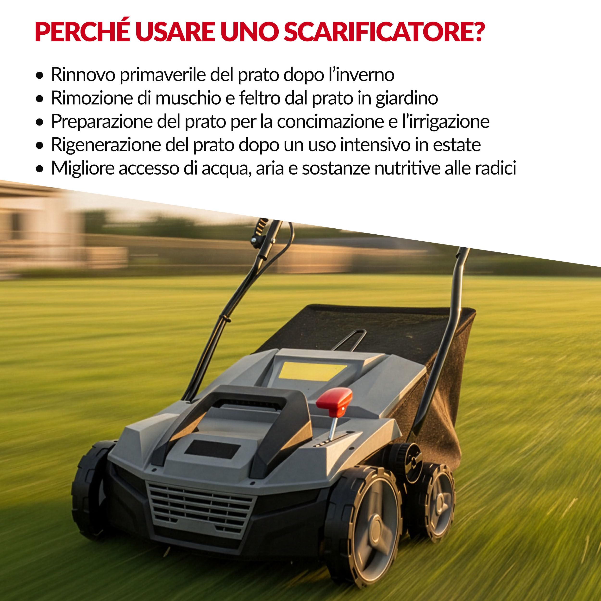 LEHMANN Teasel Scarificatore Arieggiatore Elettrico 2-in-1, 1800 W, Larghezza Lavoro 38 cm, 5 Livelli, 3500 giri/min, Cesto 48 L, Grigio