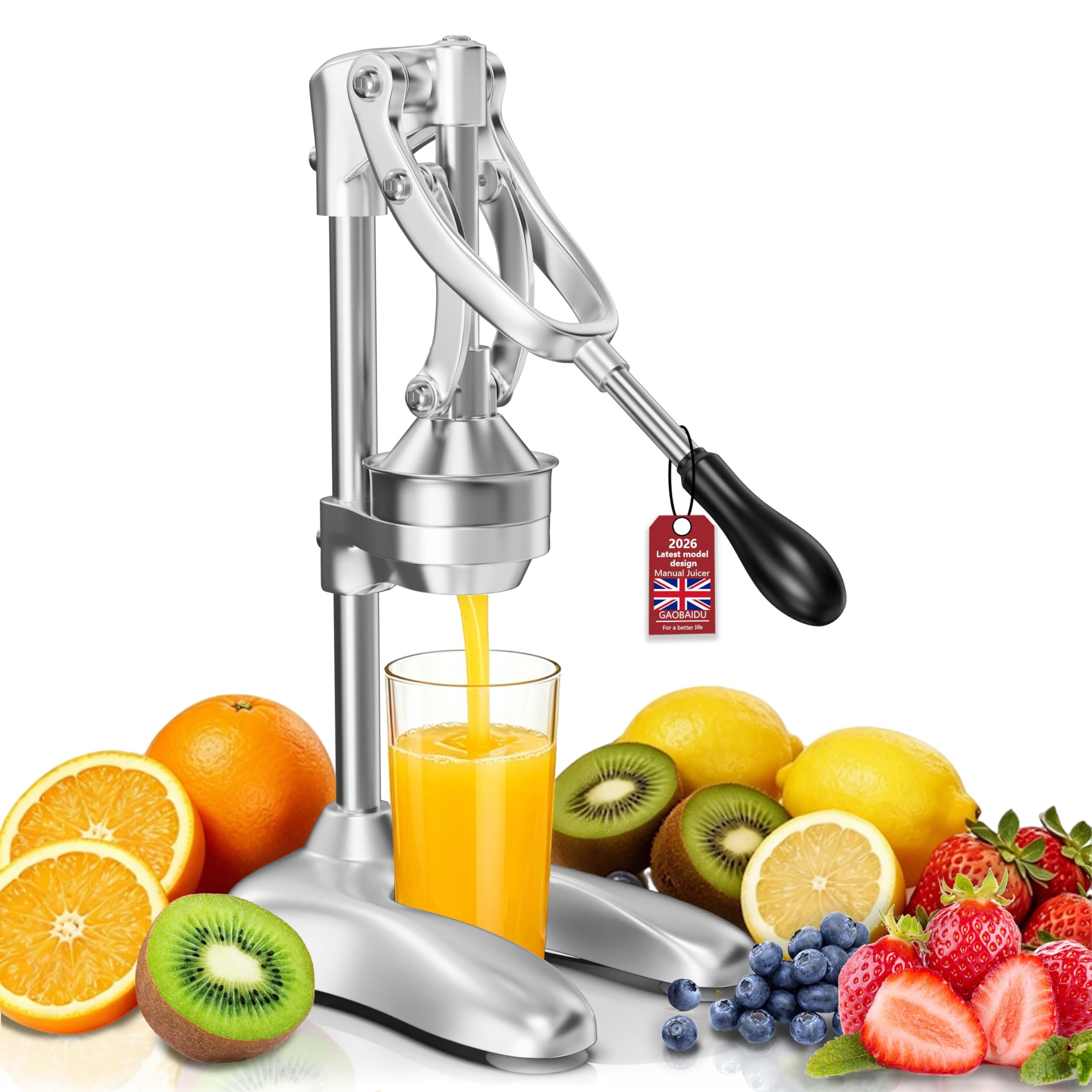 Cast Iron Manual Citrus Juicer,Heavy Duty Fruit Press for Pomegranate/Watermelon/Orange/Lemon/Lime, Home, Café & Bar use (SILVERY)