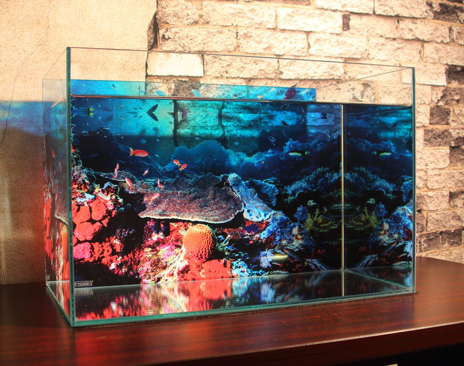 Amazon | AQUAGraphiX 水槽バックスクリーン AG-007 潜水 60cm用