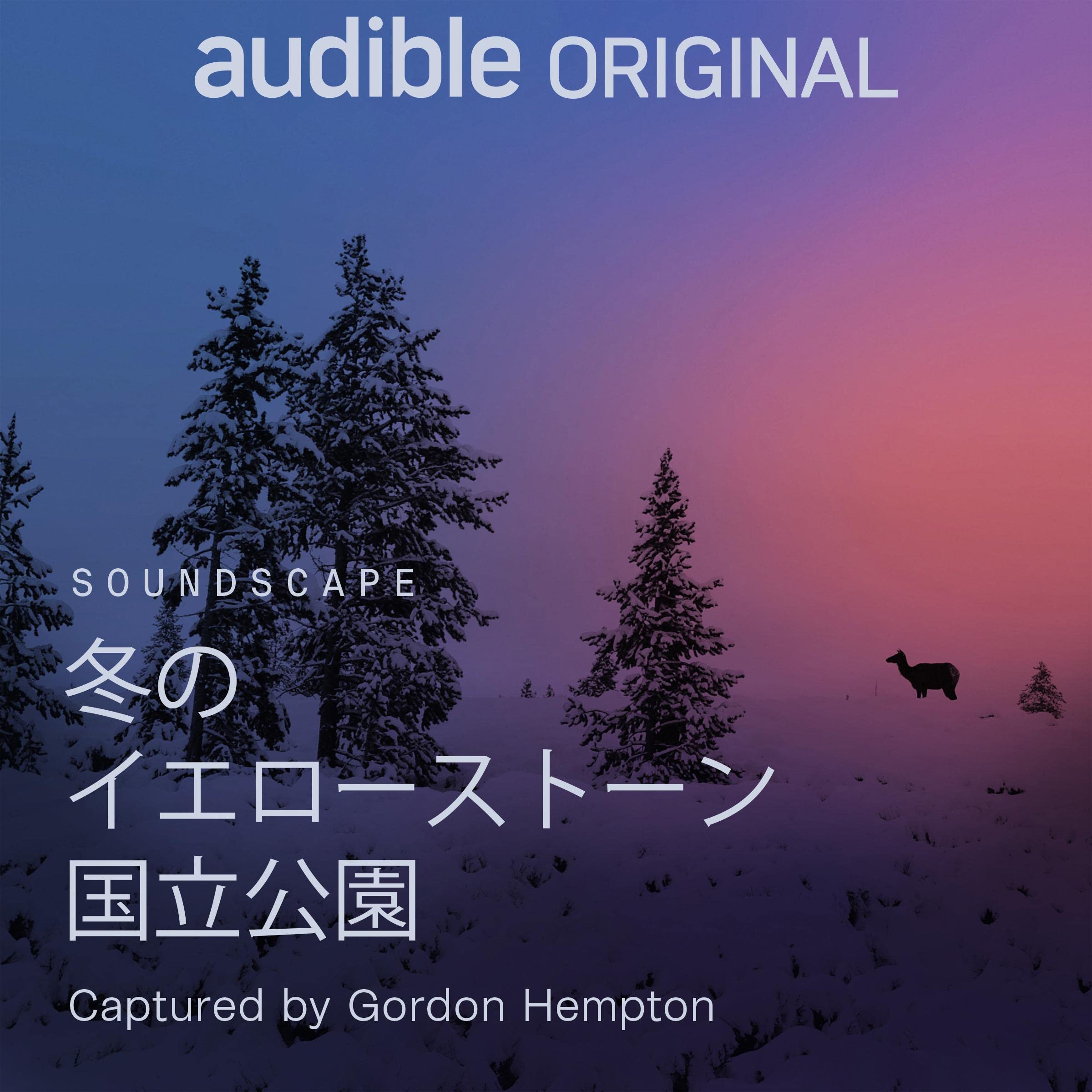 冬のイエローストーン国立公園