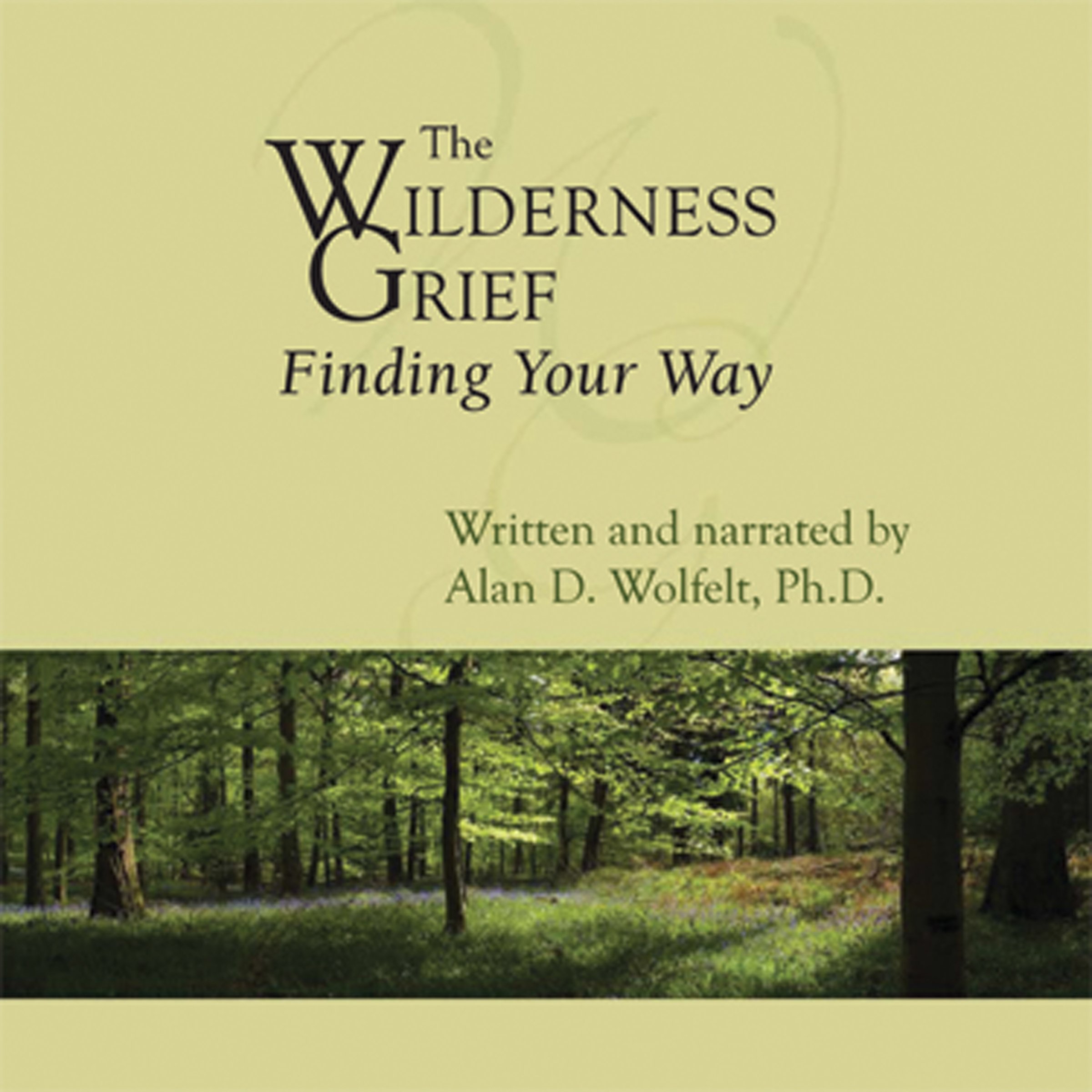 Cover art for The Wilderness of Grief