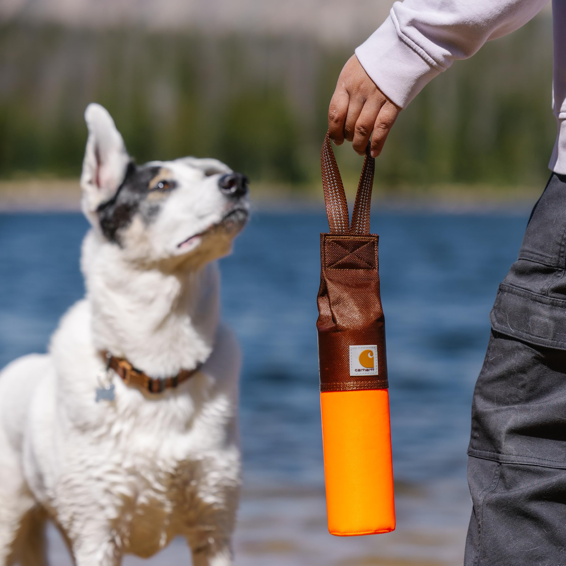 Carhartt Outil de Dressage pour Animal de Compagnie, Jouet à Aller Chercher pour Chien, en Toile de Canard Robuste conçu pour l'entraînement, Orange (Hunter Orange)