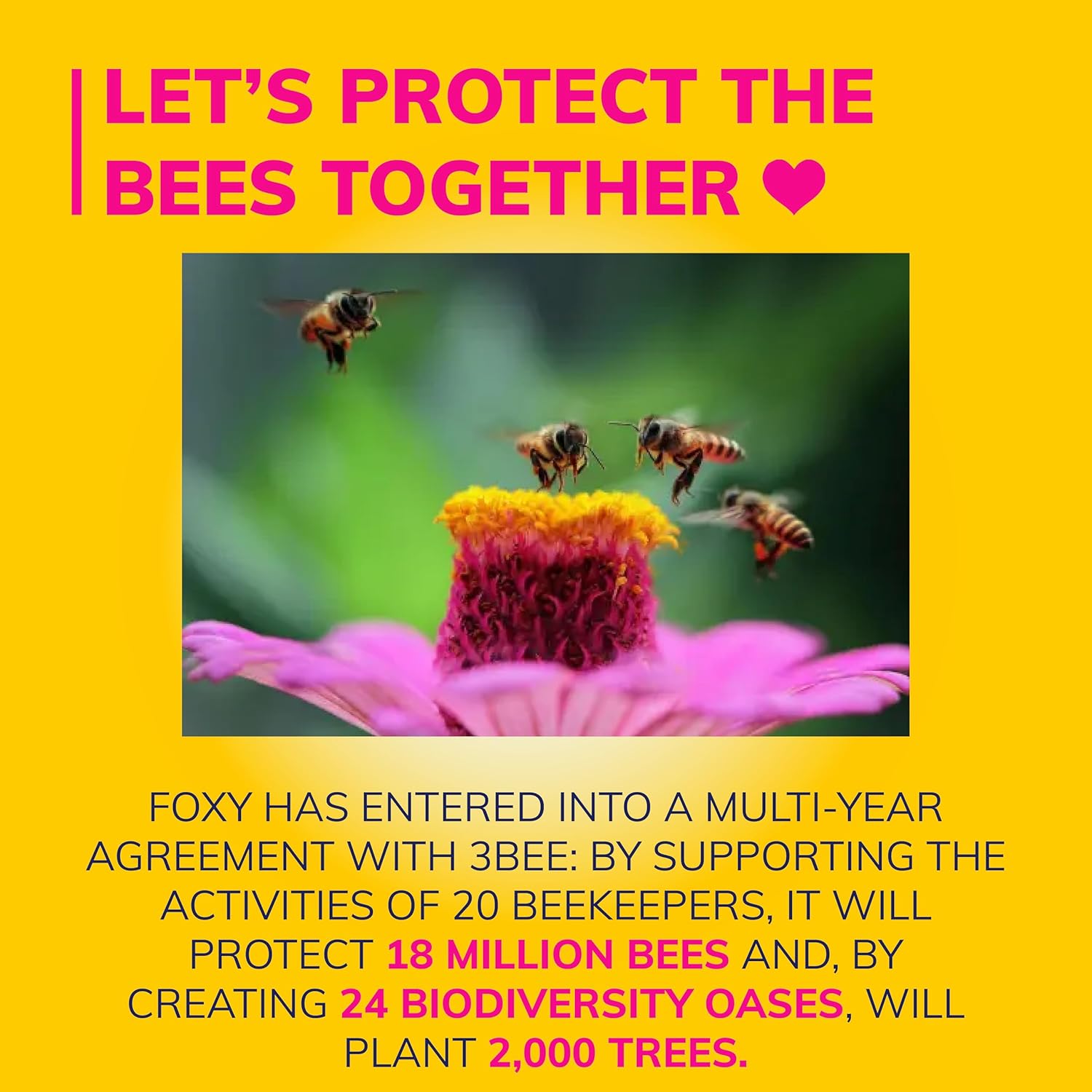 Foxy Love the Bee | 3 Ply | Toilet Paper 45 Rolls | 167 Services Per Roll | FSC Certified | 100% Renewable Electricity | Recyclable Packaging Made with Recycled Plastic