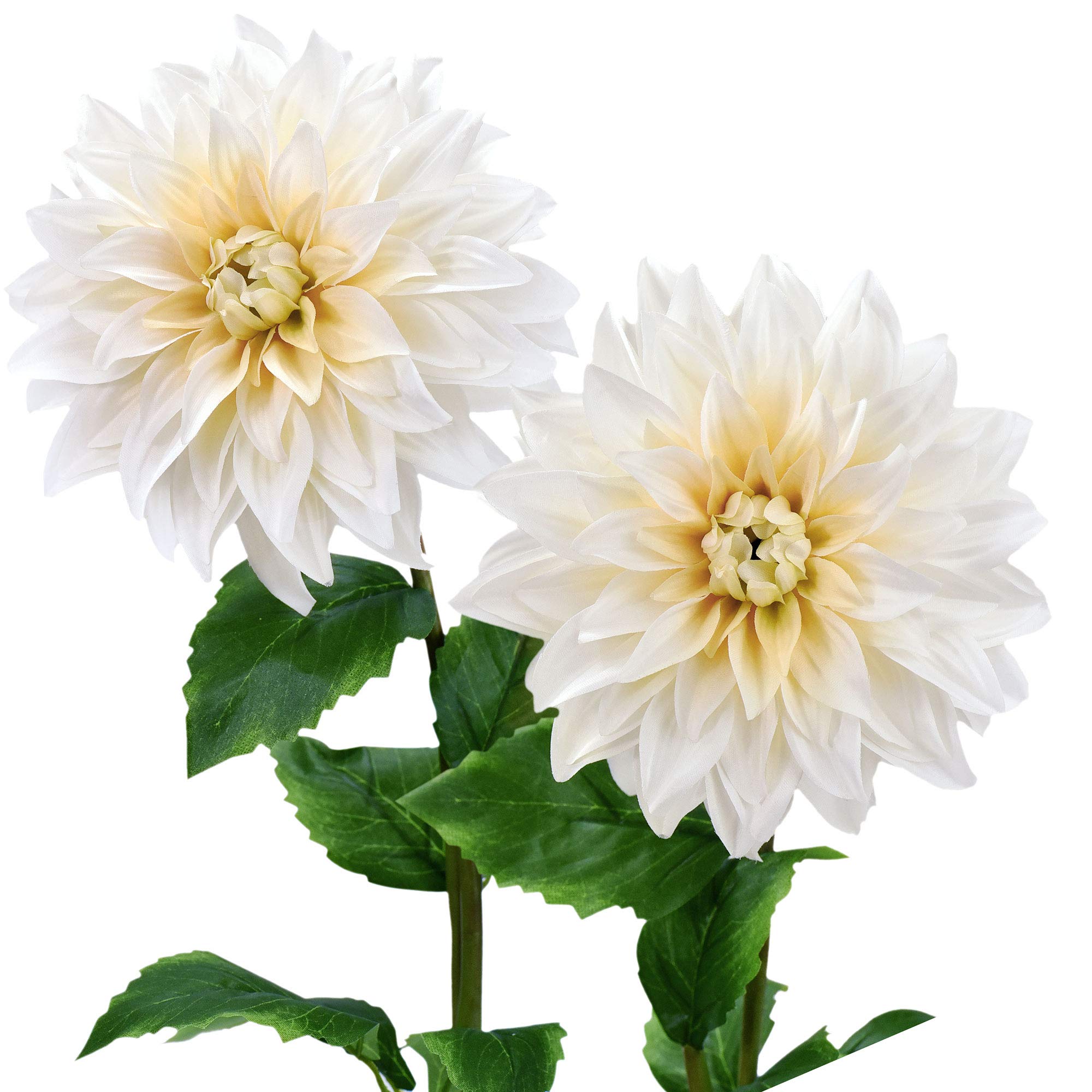 Fiveseasonstuff Creamy White Artificial Flowers Dahlia Silk Flowers For Outdoors Indoors And Tall Vases 2 Stems (Creamy White)