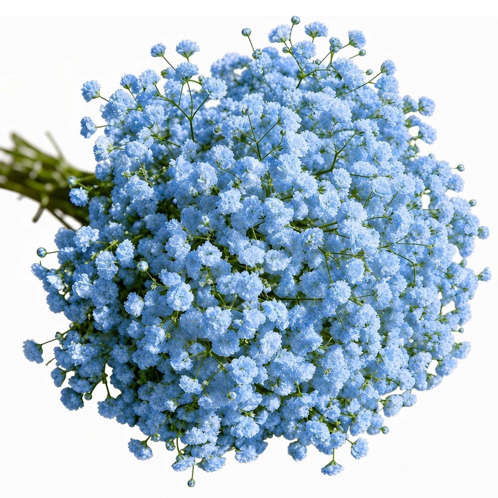 Plumaire 30Pcs Artificial Gypsophila Flowers – Realistic Faux Baby Breath Bouquets, Real Touch Fake Blue Flowers That Look Real, for Wedding, Party & Home Floral Arrangements Decor (blue)