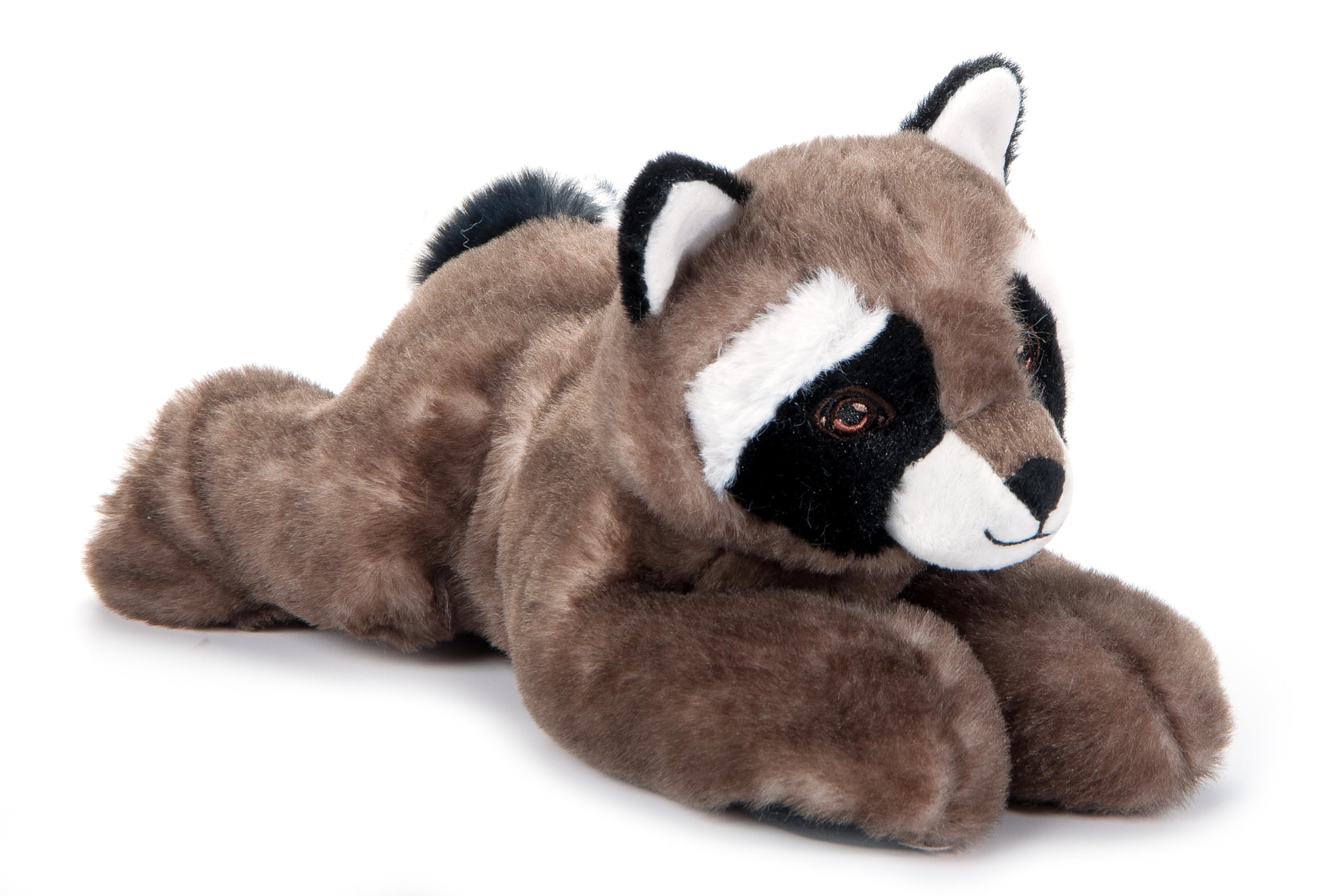 Amazon.com: The Petting Zoo Raccoon Stuffed Animal Plushie, Gifts