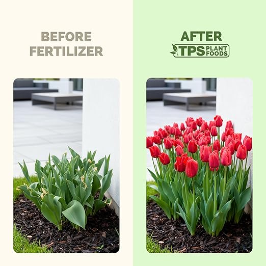 Fertilizante líquido para bulbos de tulipán 8 oz miniatura 3