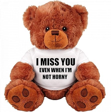 Amazon おもしろテディベア カップル ギフト ミディアム テディベア ぬいぐるみ I Miss You おもちゃ おもちゃ