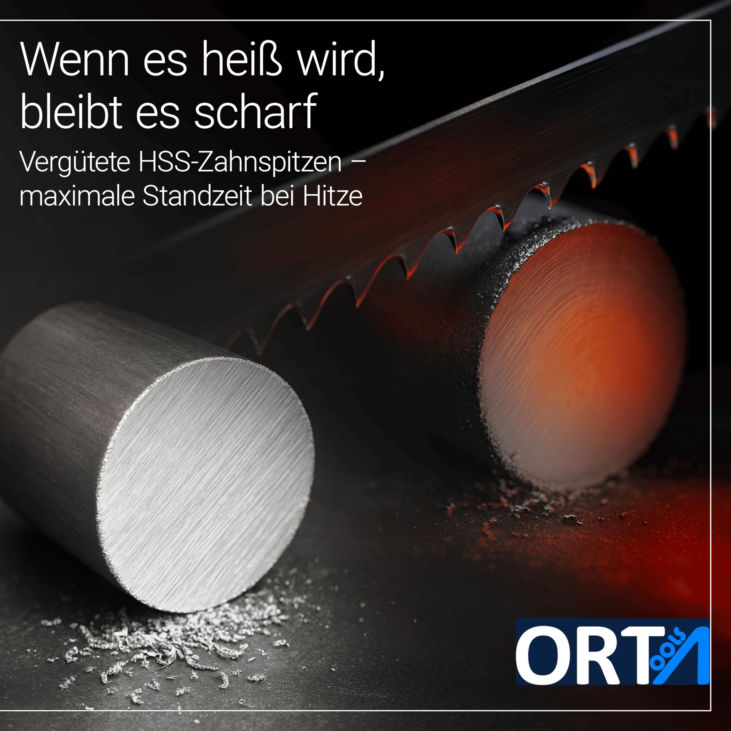 733 x 13 x 0,35 x 14/18 - Bimetal M 42 - np. do ABAS 18-63 AS akumulatorowa piła taśmowa, brzeszczot do piły taśmowej do piły taśmowej do piły taśmowej