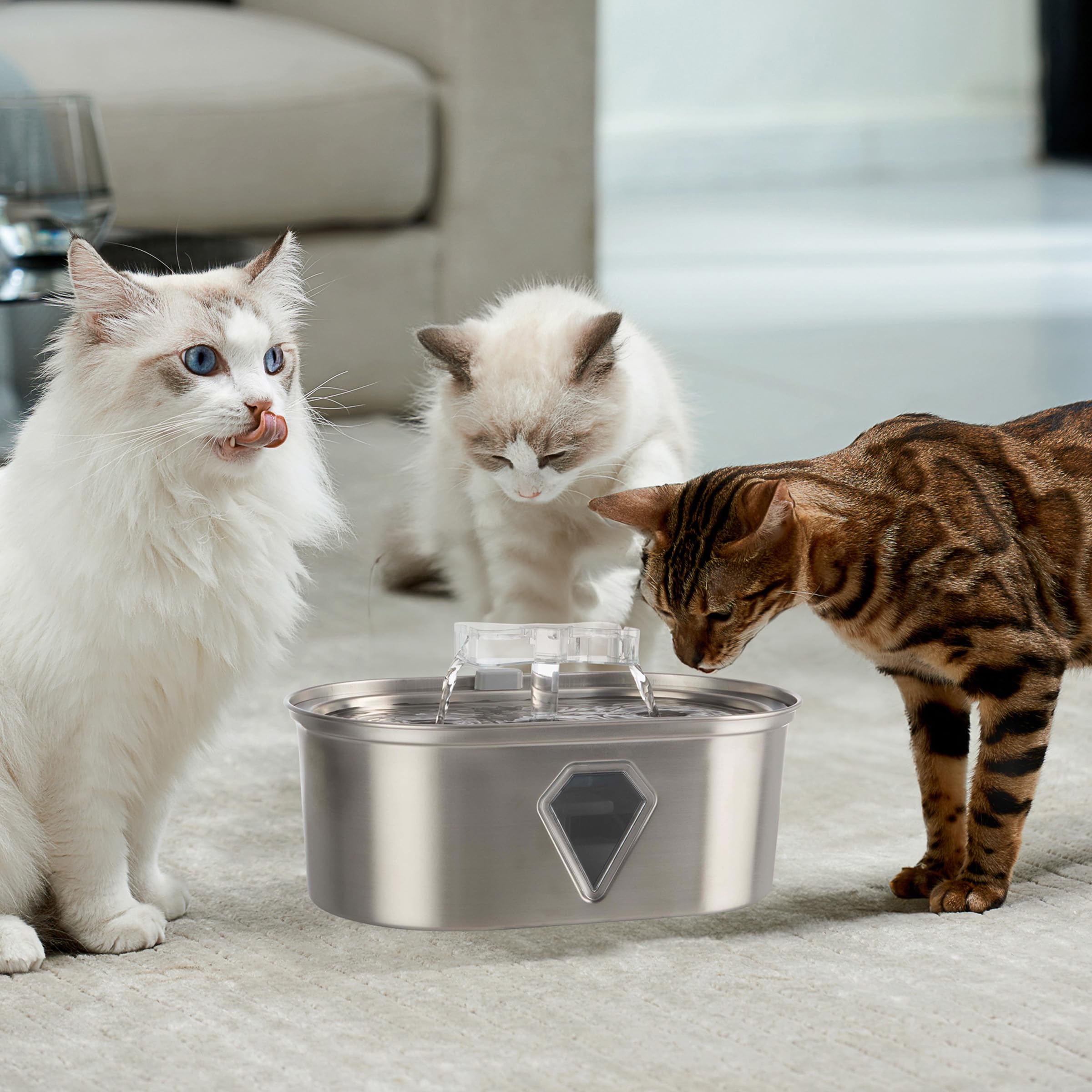 Amazon.com : Cat Water Fountain - Stainless Steel Water Fountain for Small  Pets - 118oz/3.5L Automatic Cat Water Dispenser with Water Level Window by  PETMAKER : Pet Supplies