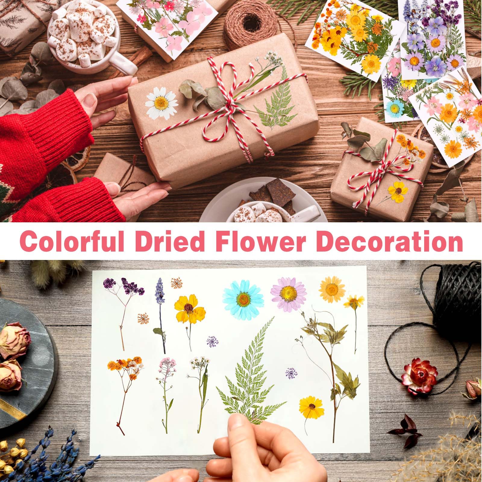 Fiori Secchi per Decorazioni 96 Pezzi Fiori Pressati Naturali con Pinzette per Bomboniere Fai Da Te Candele Scrapbooking