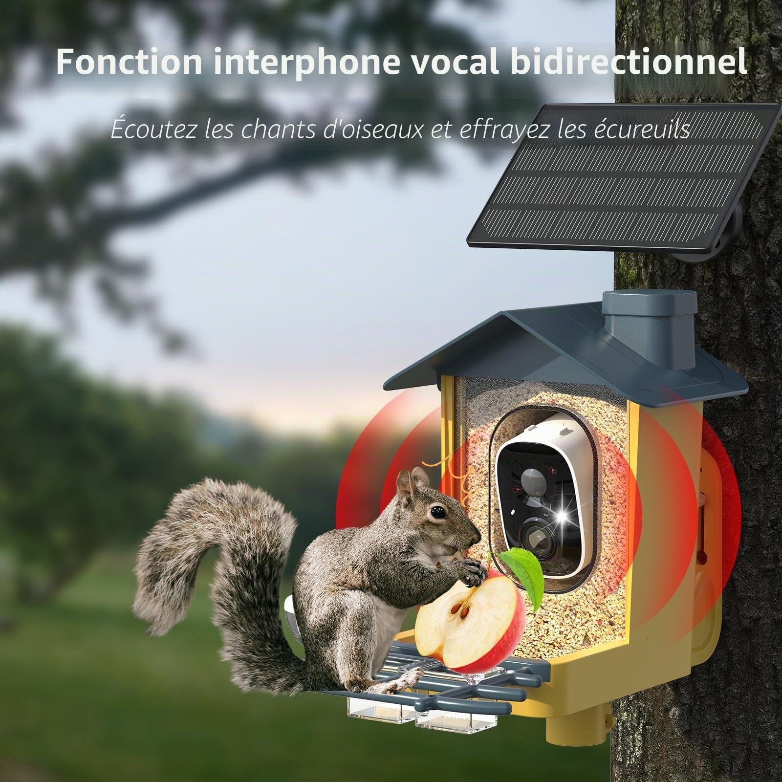 Mangeoire à oiseaux avec caméra – Caméra intelligente avec identification des espèces d'oiseaux, enregistrement automatique des vidéos des oiseaux, notifications instantanées, caméra vidéo 2K