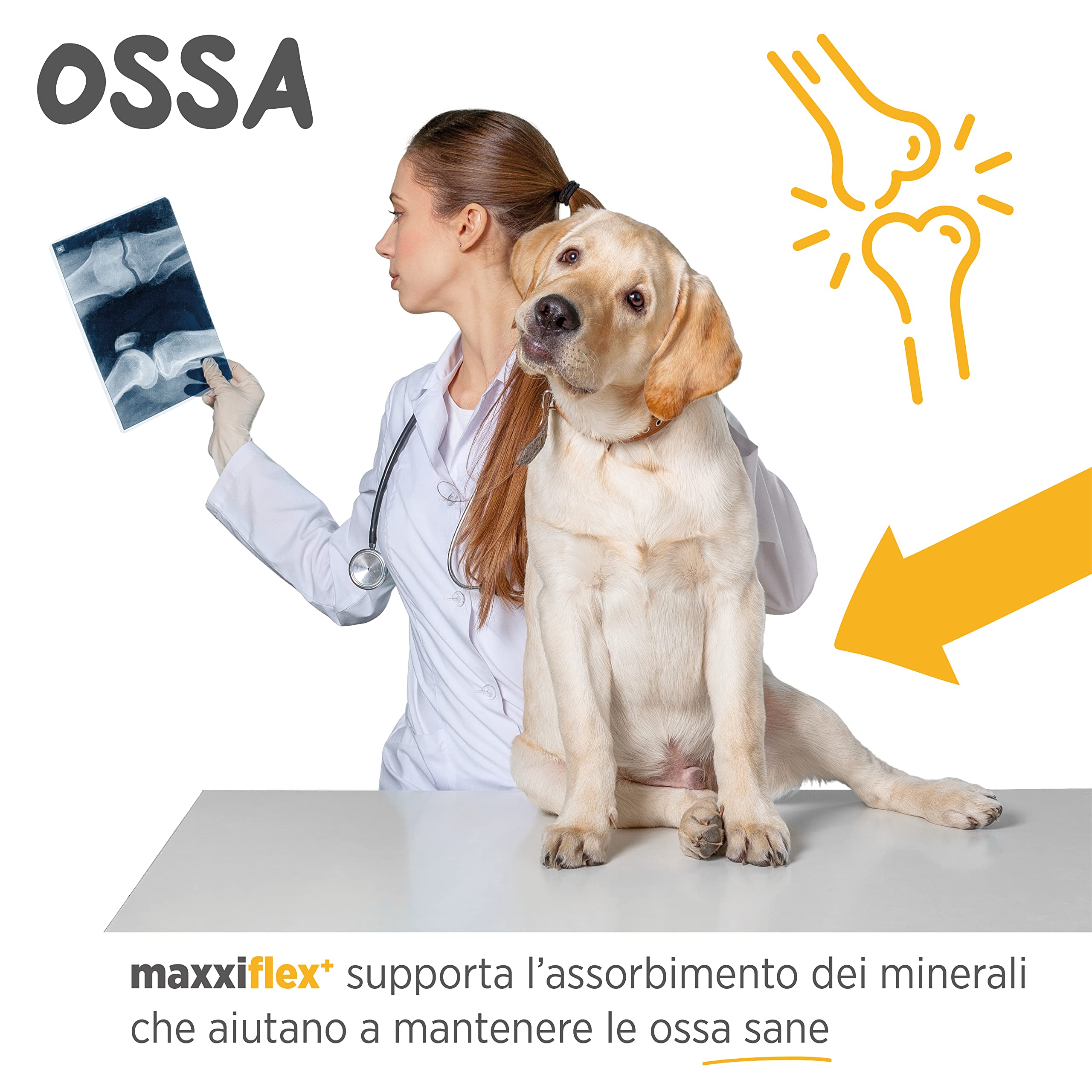 maxxiflex+ Integratore per Le Articolazioni del Cane per Migliorare la Mobilità e Avere Articolazioni in Ottima Salute – 120 Compresse