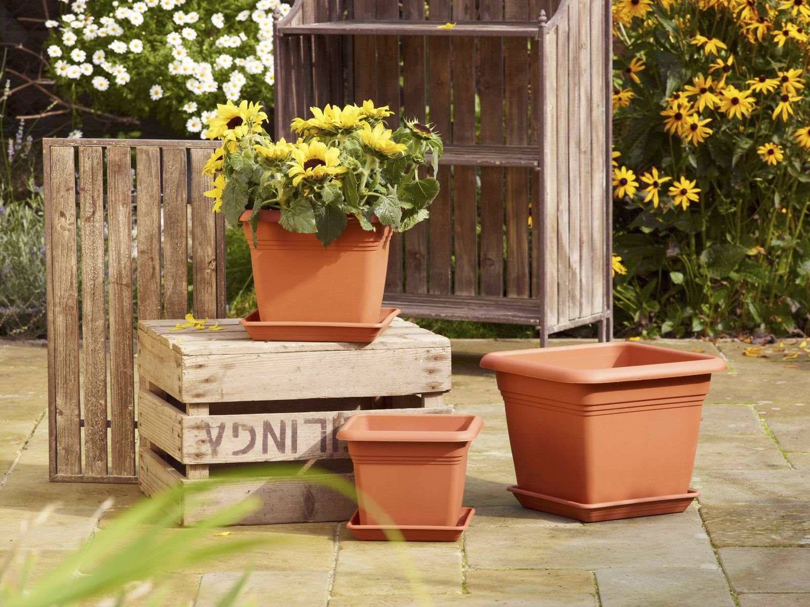 greemotion Pflanzkbel Pia Terrakotta - Blumentopf 19x19cm - 3L Blumenkbel  eckig - bertopf UV-bestndiger Kunststoff - Pflanztopf frostsicher -  Pflanzgef mit Bodenlchern - Pflanzen-Zubehr : Amazon.de: Garten
