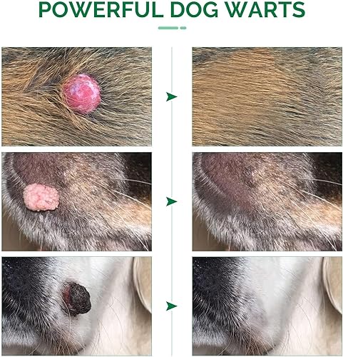 Miniatura 5 de RSQQAV Removedor de verrugas para perros, fórmula suave y reconfortante, removedor de marcas cutáneas para perros, ayuda a reducir las verrugas y