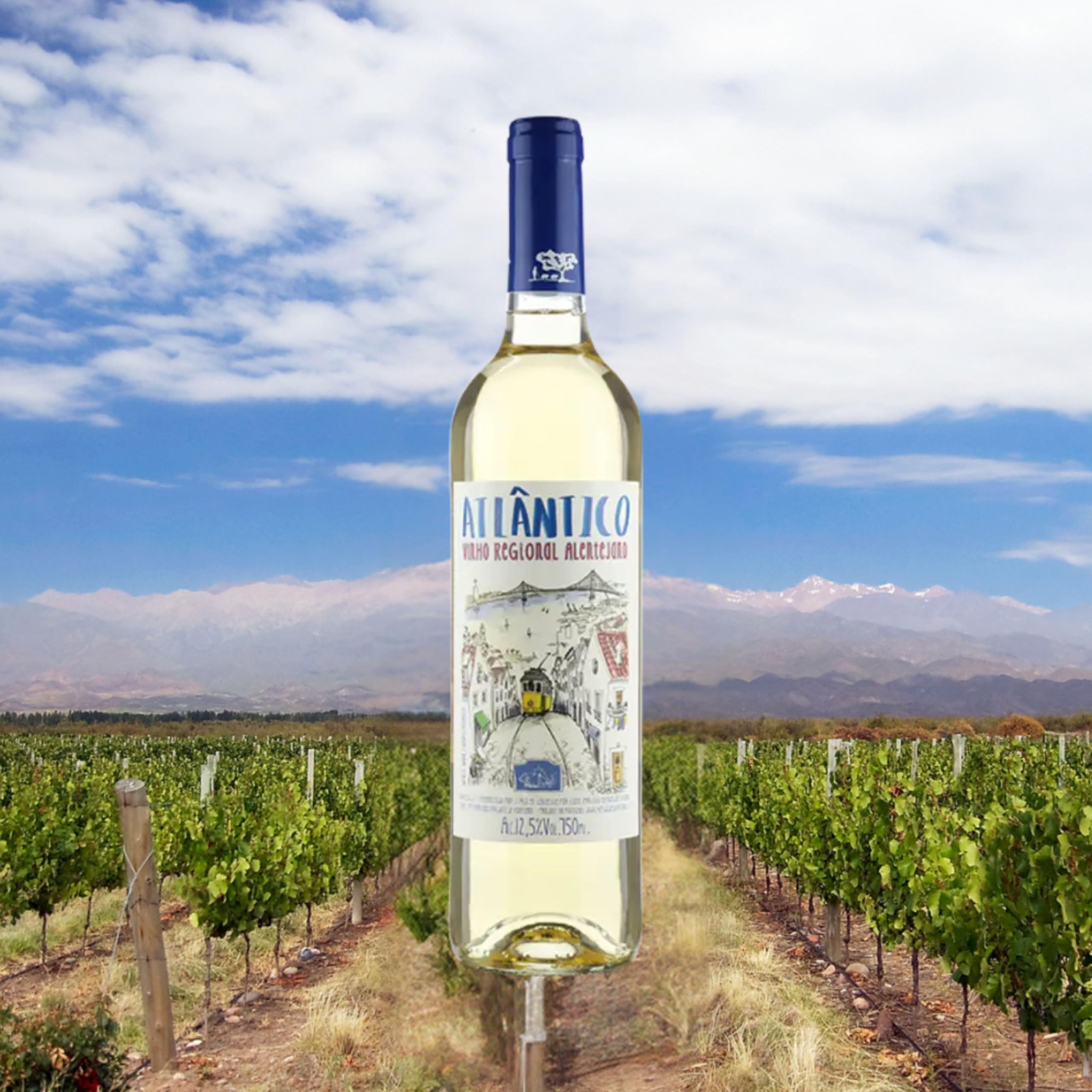Vinho São Miguel Descobridores Atlantico Alentejo Branco 750ml