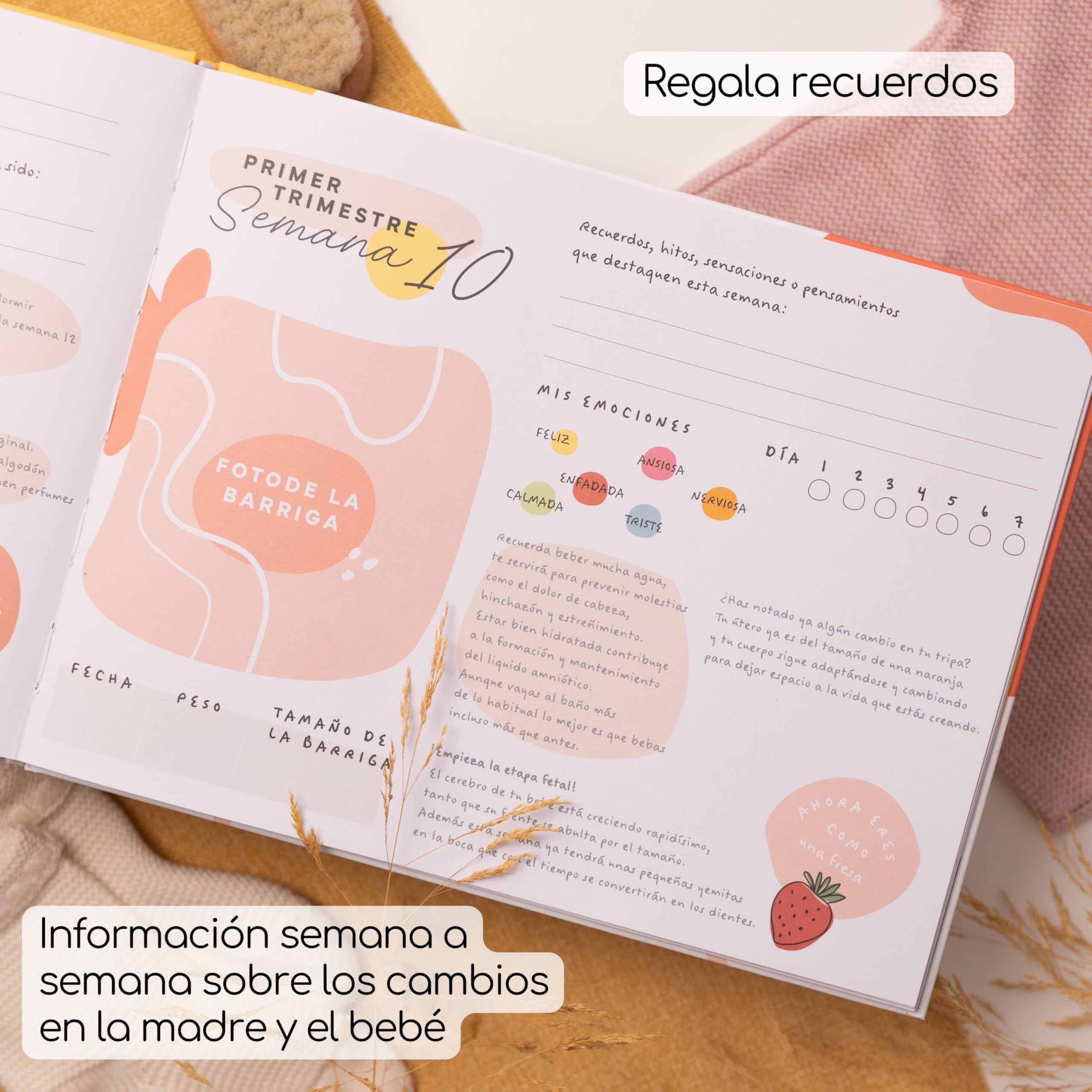 Diario e Albumm di gravidanza 9 mesi - Il mio diario di gravidanza, la nostra storia - regalo per future mamme - libro di gravidanza per salvare foto e ricordi - include pagine con adesivi