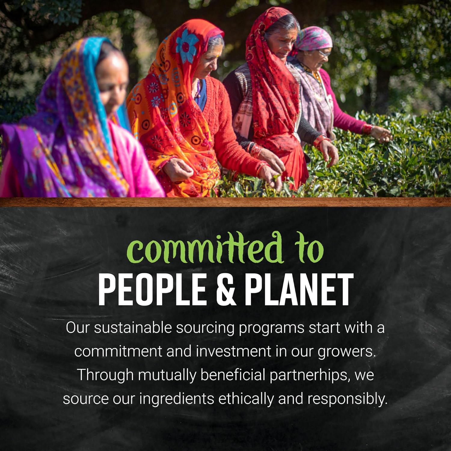 Frontier Co-op Premium, No-Sugar Added Organic Freeze Dried Cranberry Powder - Natural Food Coloring - Non-GMO & Vegan-Friendly, No Additives - Baking, Juice Mix, Cocktails | 8 Ounce (Pack of 1)