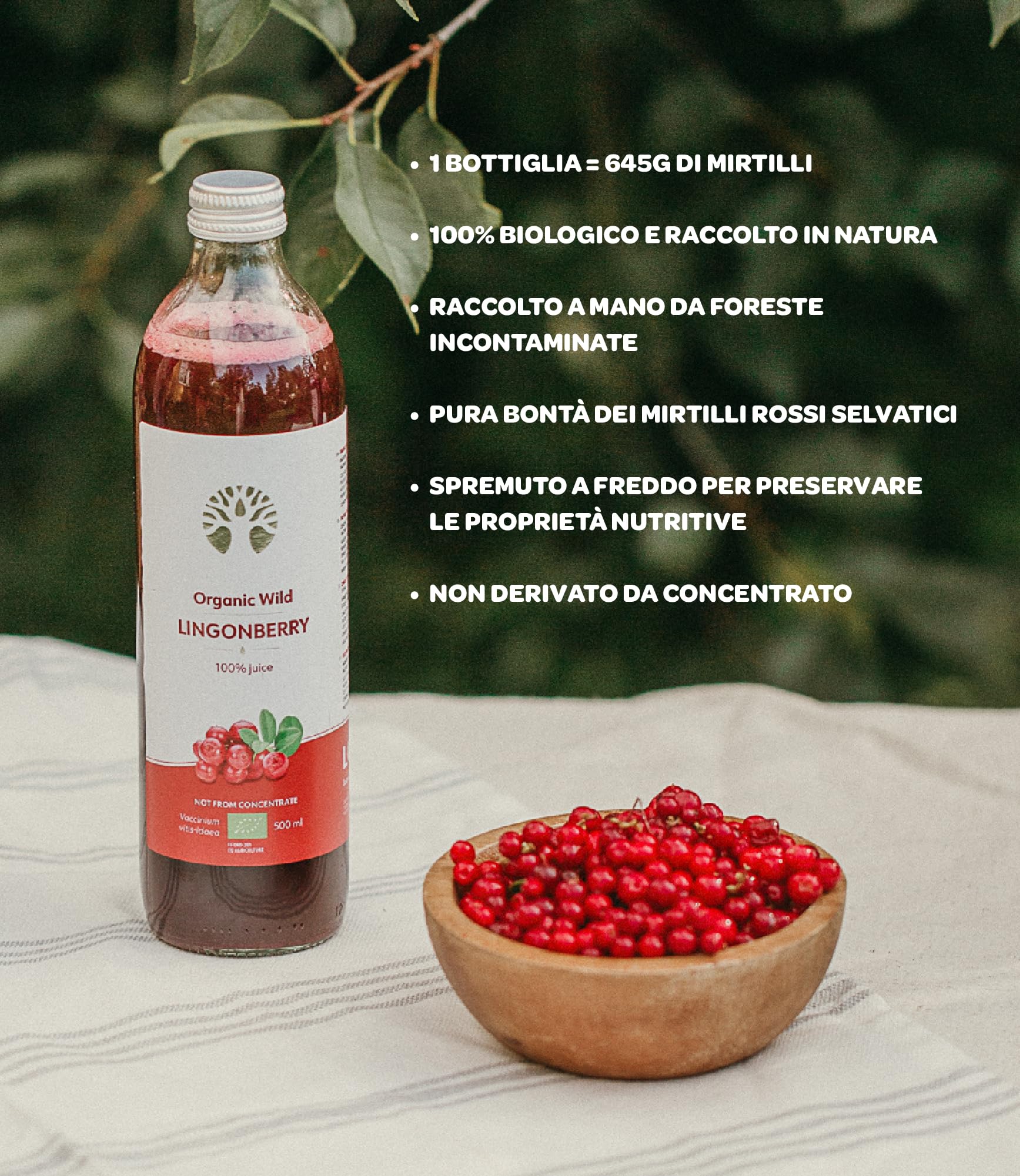LOOV succo di mirtilli rossi selvatici biologici, 500 ml, 100% da mirtilli rossi pressati, contiene polifenoli, nessuna aggiunta di acqua o zucchero, cresciuti spontaneamente da foreste nordiche