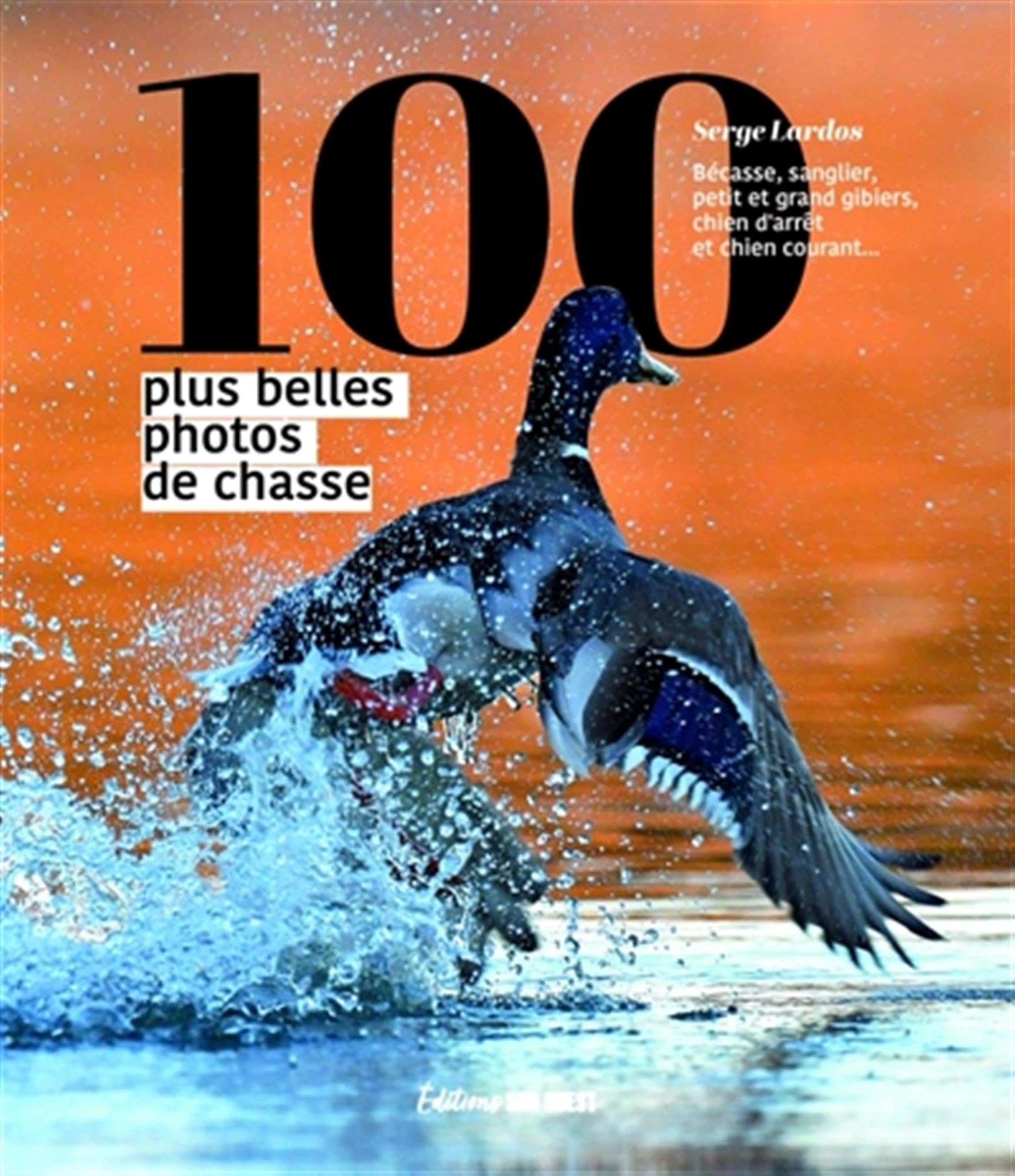Les 100 plus belles photos de chasse: Bécasse, sanglier, petit et grand gibiers, chien d'arrêt et chien courant...