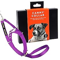 Canny Collar – Collare a Cavezza Addestramento Cane | Collare Anti‑Tiro Gentile e Sicuro | Camminate Piacevoli Senza Stress – Viola – Taglia 2