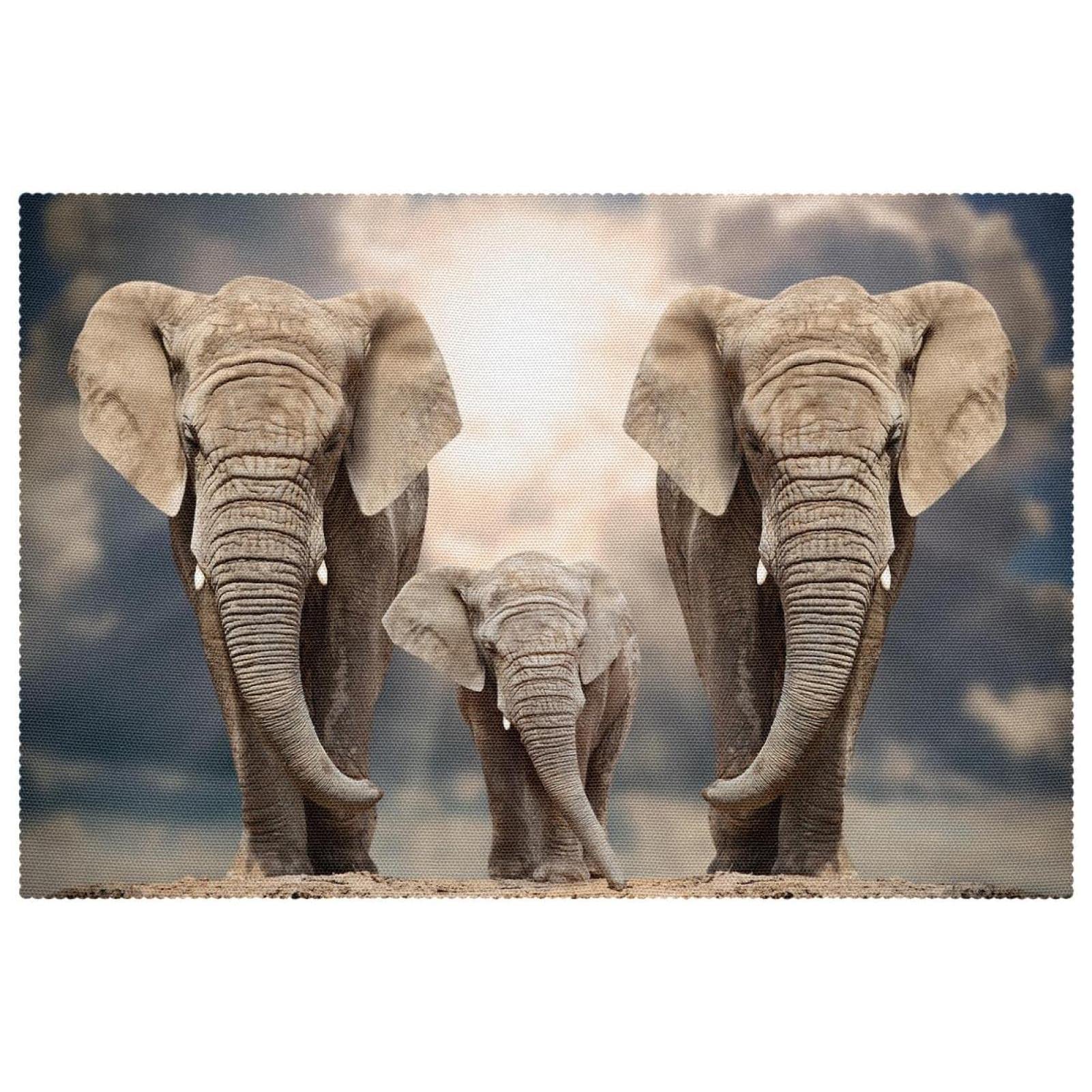 Set de table animaux africains lavable antidérapant grand format lot de 6 pièces