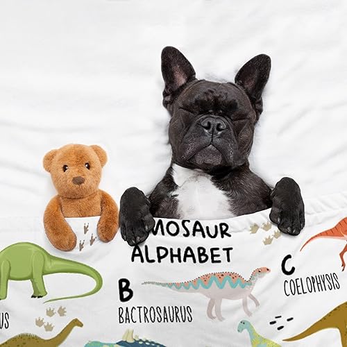 Miniatura 5 de Manta de dinosaurio del alfabeto, regalos de dinosaurio para niñas, niños pequeños, manta de 40 x 50 pulgadas, ligera, suave, cálida y acogedora