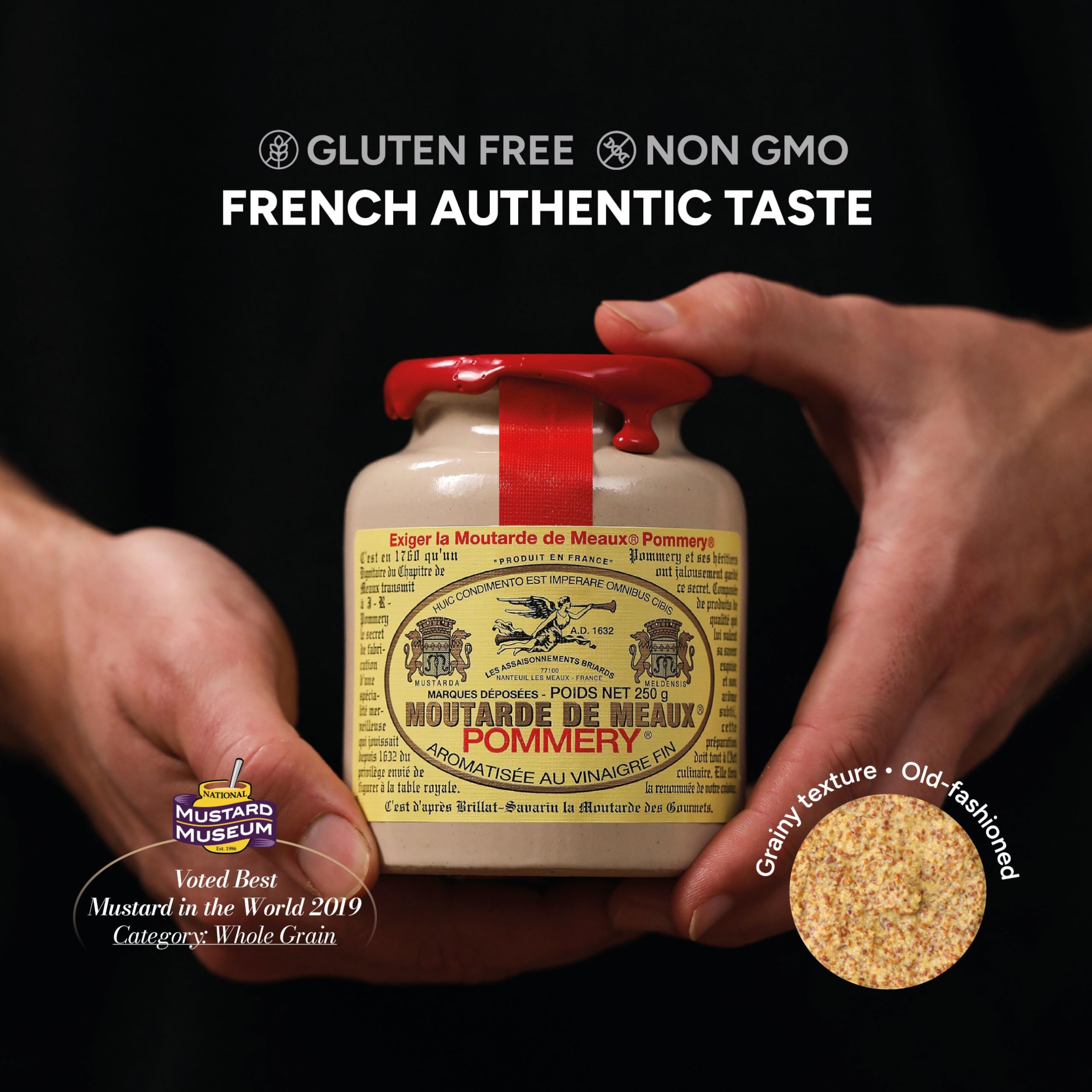 Amazon | ハウスギャバン POMMERYマスタード 500g | pommery | からし