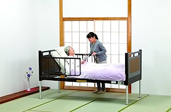 Amazon | フランスベッド 超低床 リクライニングベッドFLB-02J(2