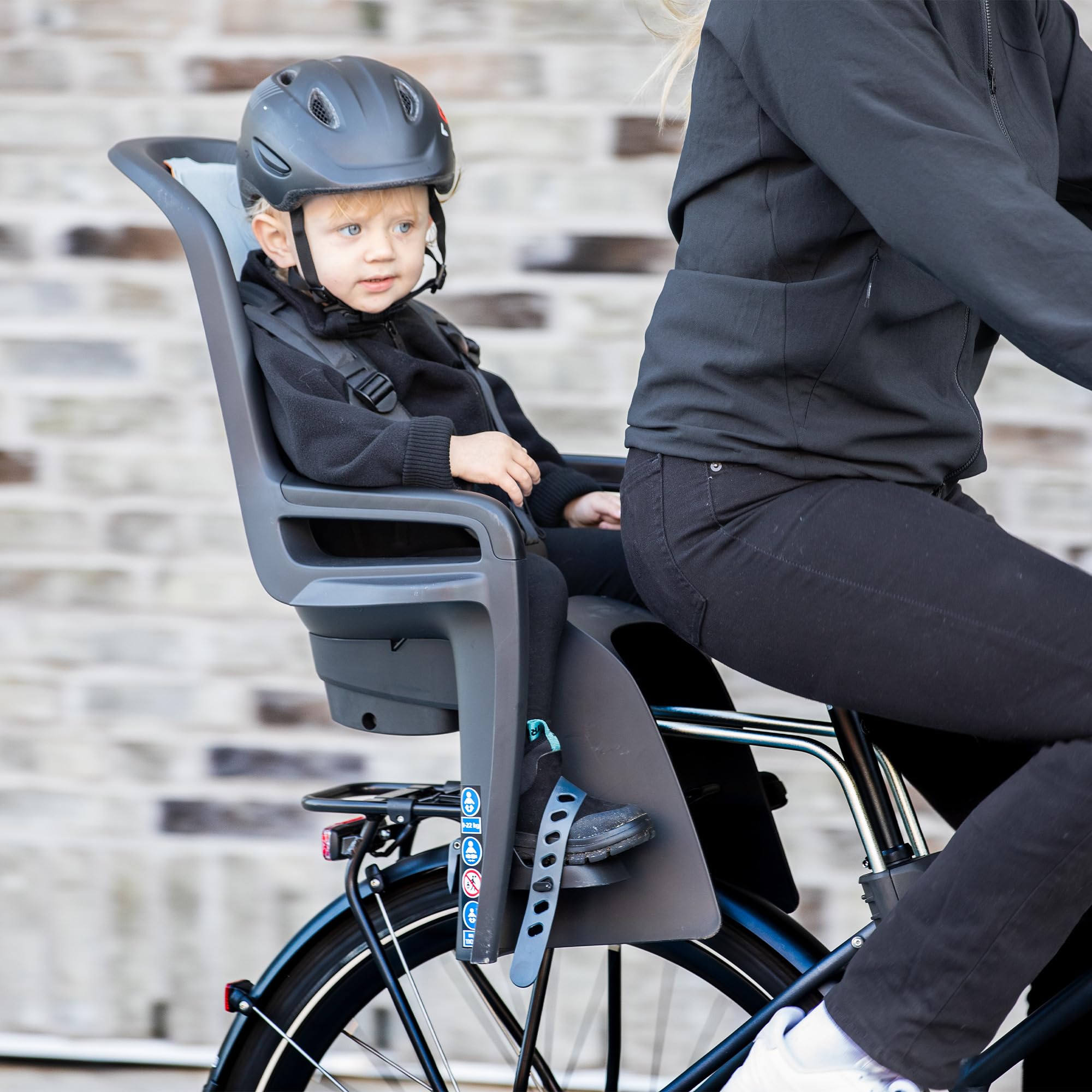 Thule Ride Along 2- Dark Gray