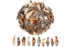 SendyFeather Comfort Feathers for Chick Brooder