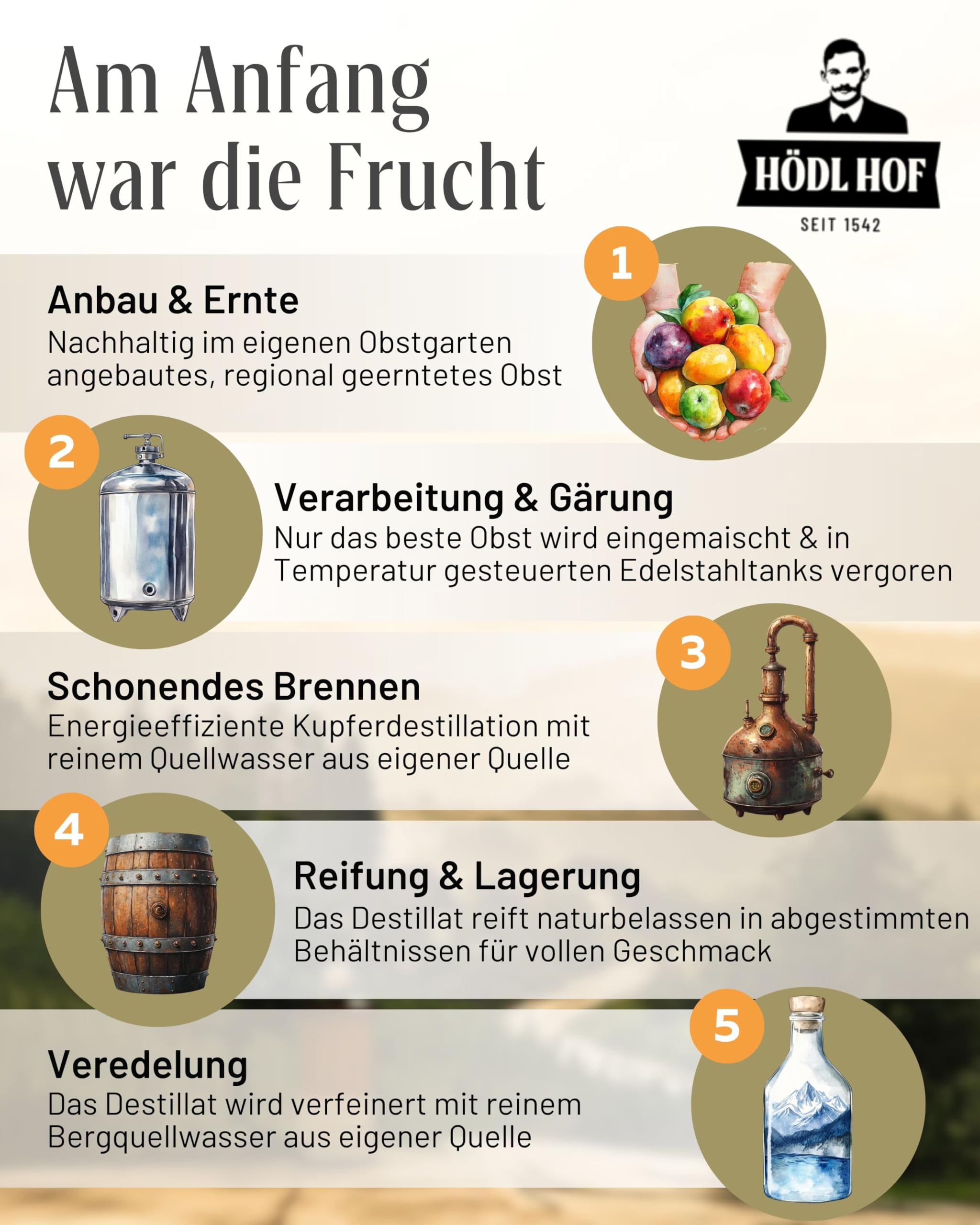 Hödl Hof Erdbeere Cremelikör | 16% Vol. | 1,0l