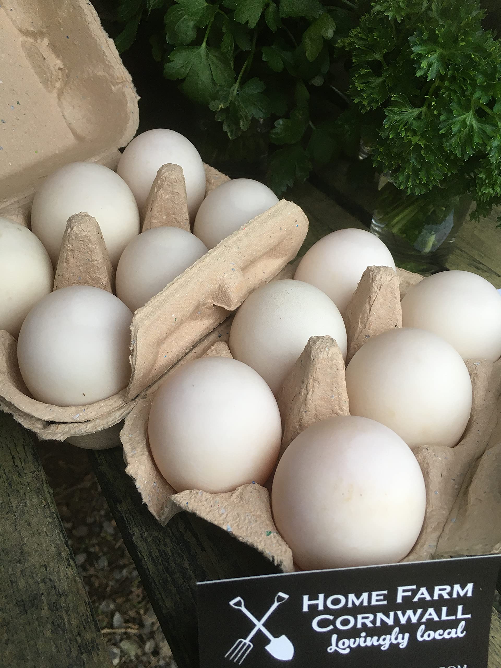 Free Range Duck Eggs (18)