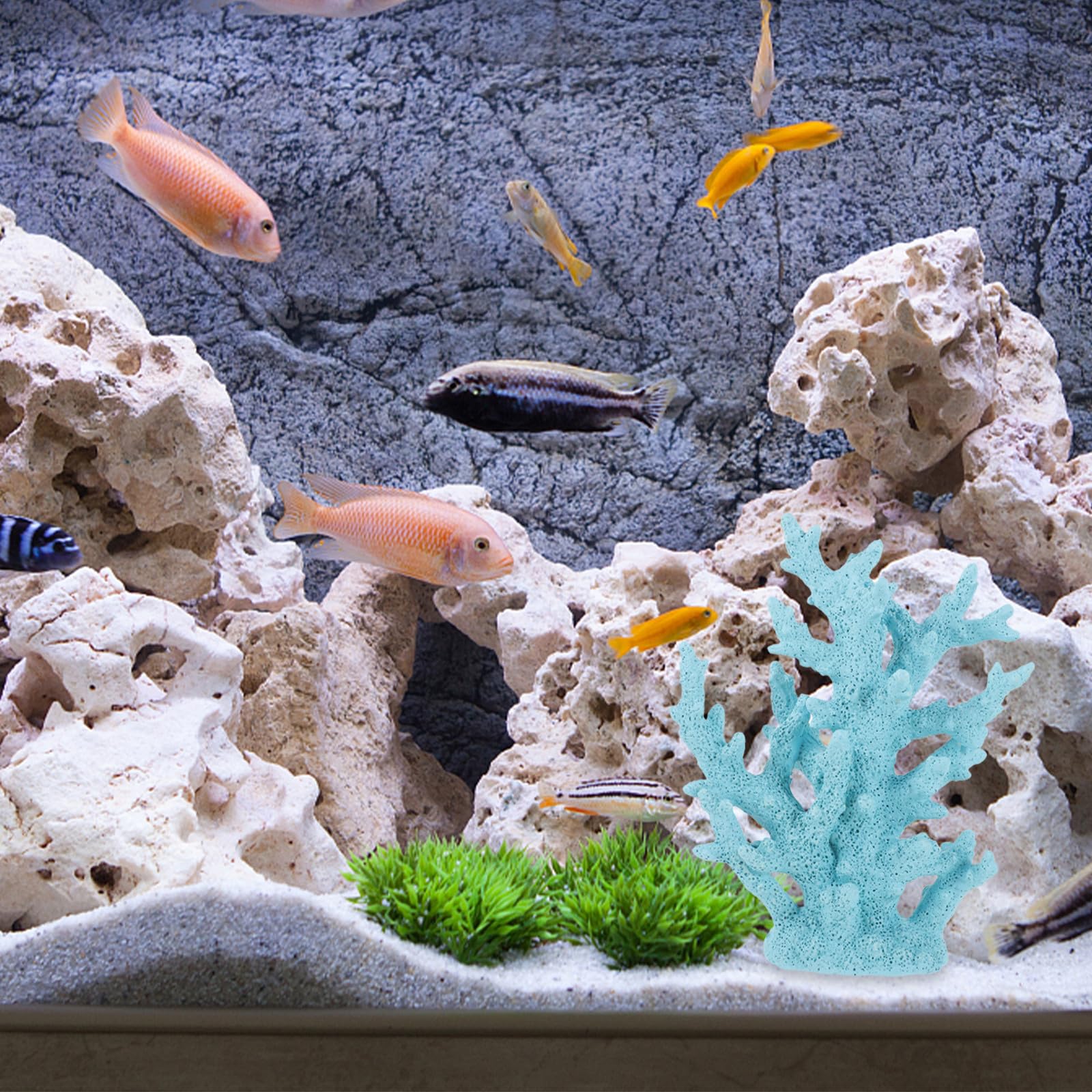 Toyvian Adorno de Coral Azul de Resina para Decoración de Acuario, Resistente Abrasión, Adecuado para Peces y Accesorios de Peceras
