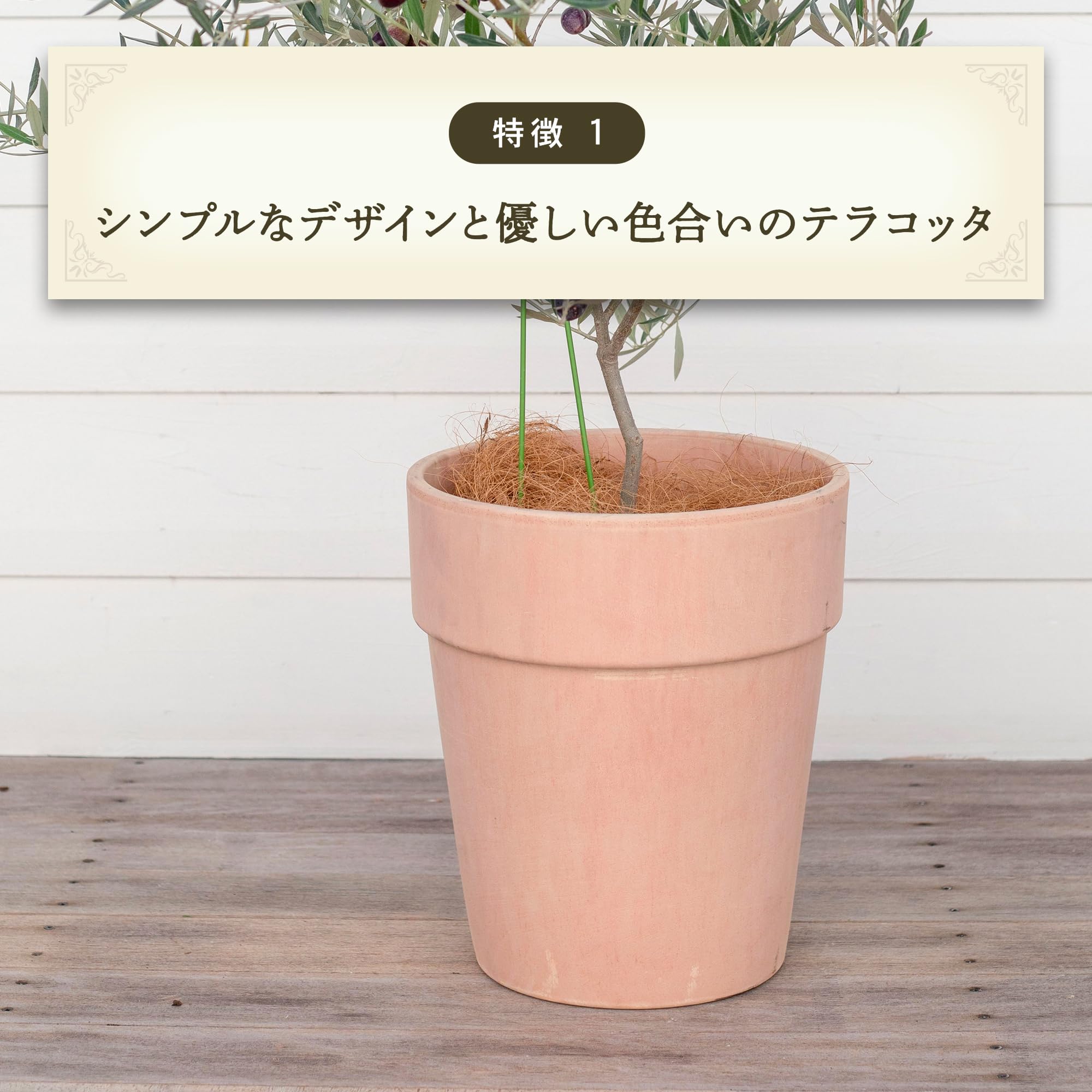 置物　テラコッタ　アートコレクション 置物 テラコッタ アートコレクション