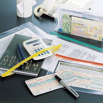 Amazon | リヒトラブ クリアケース ファスナーケース マチ付き