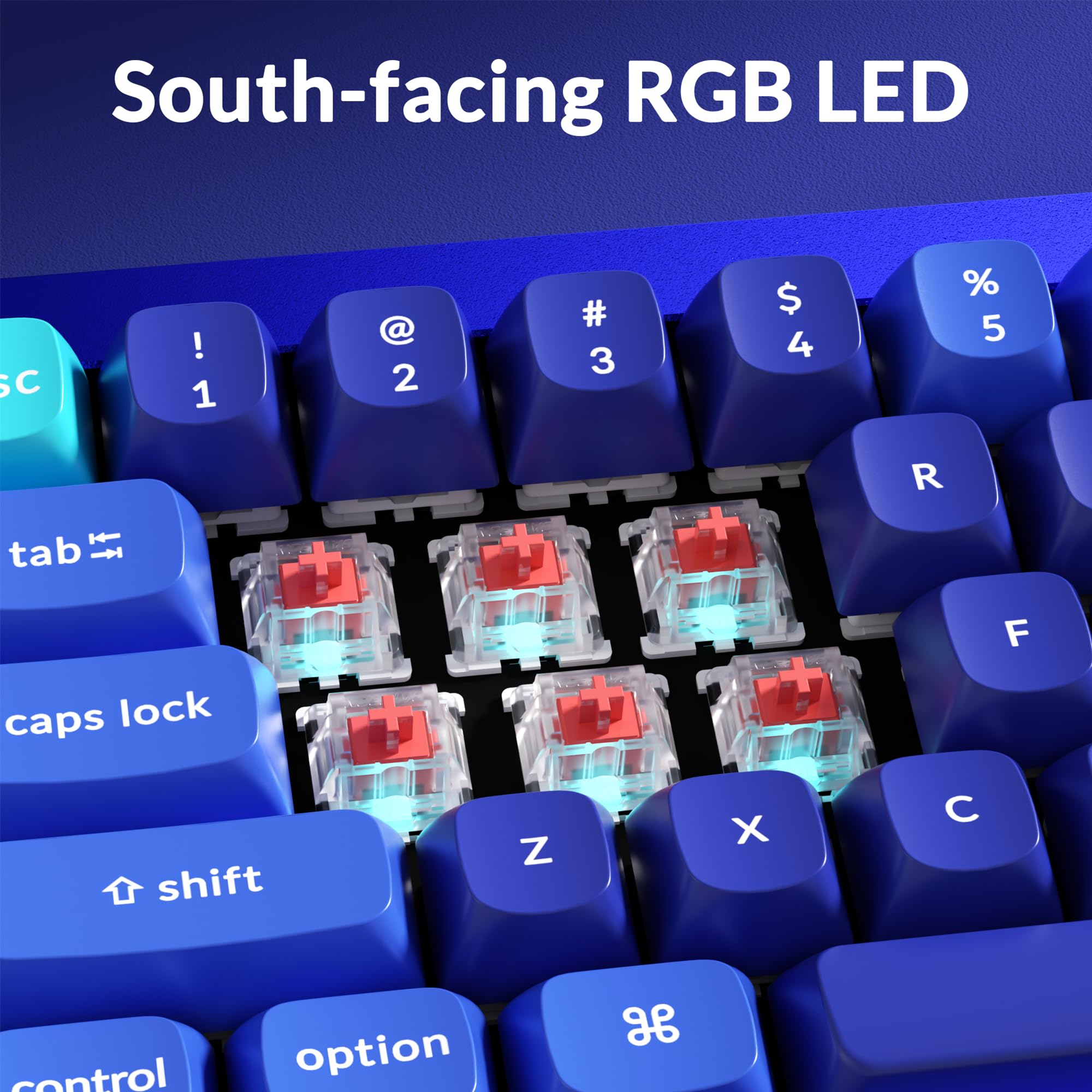 Amazon.in: Buy Keychron Q4 Wired Custom Mechanical Keyboard, QMK