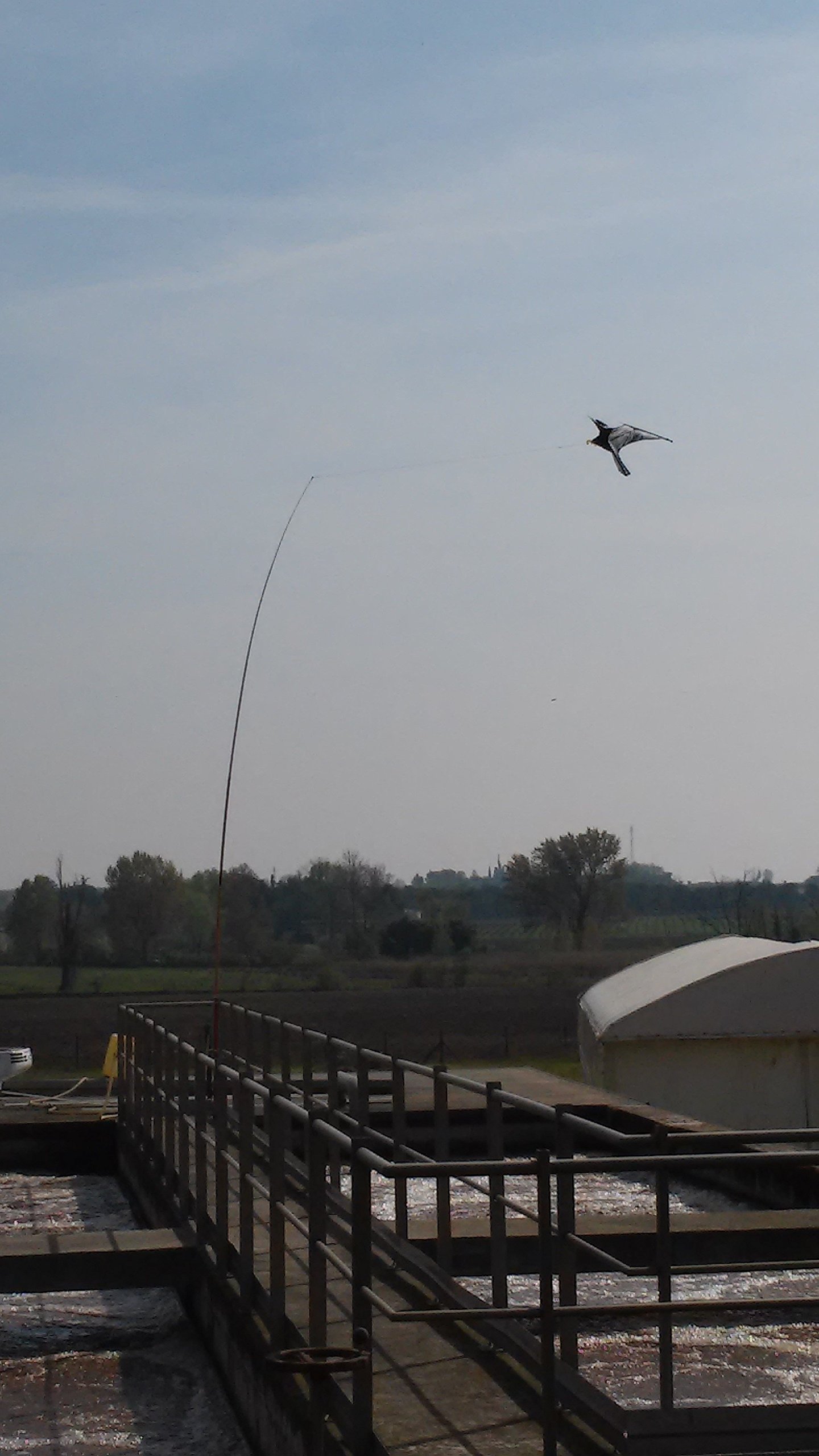 Cometa espantapájaros de calidad profesional 9 METROS