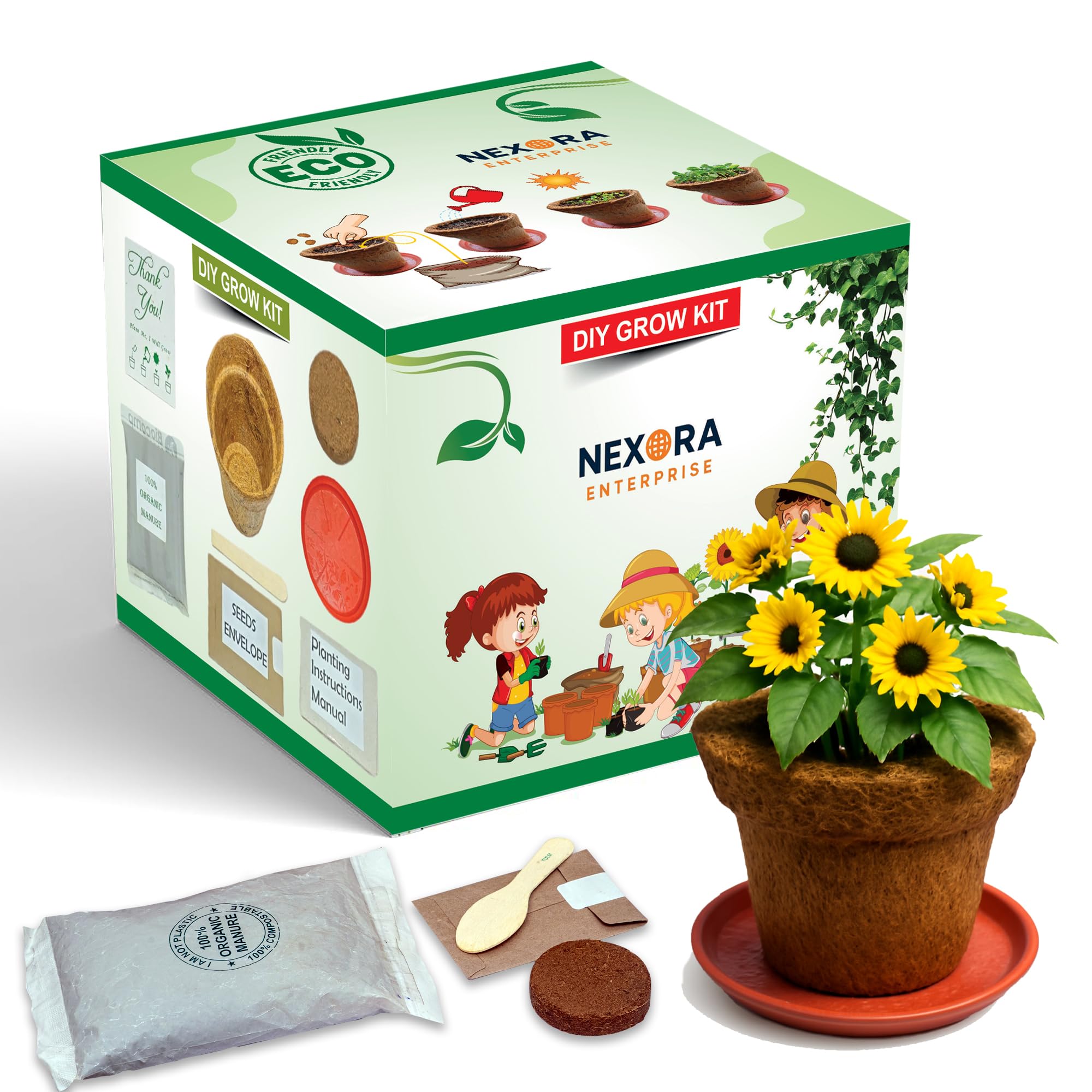 Nexora DIY Grow Kit for Kids & Adults | Complete Gardening Set | Includes Biodegradable Pot, Soil, Seeds, Tools & Instructions (Sunflower)-image-21