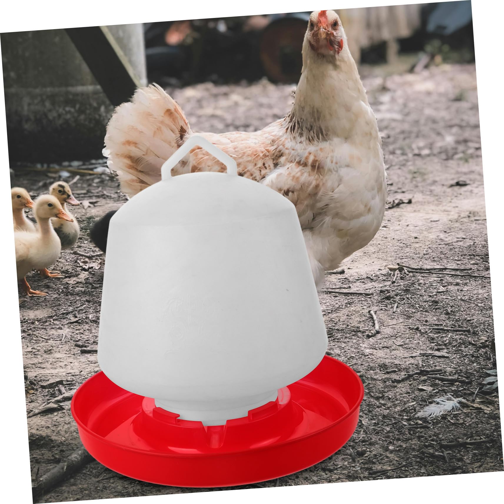 Hemobllo Mangiatoia Per Pollame e Pulcini in Plastica Resistente, Contenitore Riutilizzabile Per Cibo e Acqua, Adatta Per Galline, Anatre e Piccioni, Per Pollai Domestici e Uso Professionale