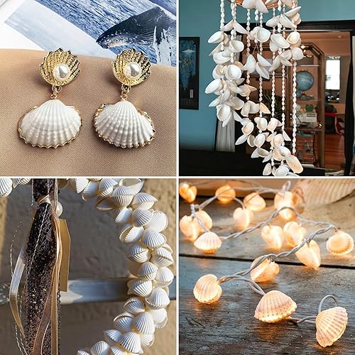 Miniatura 5 de QEQEKAKA Conchas marinas blancas para decorar alrededor de 140 ~ 160 piezas pequeñas conchas naturales para manualidades, decoración del hogar,