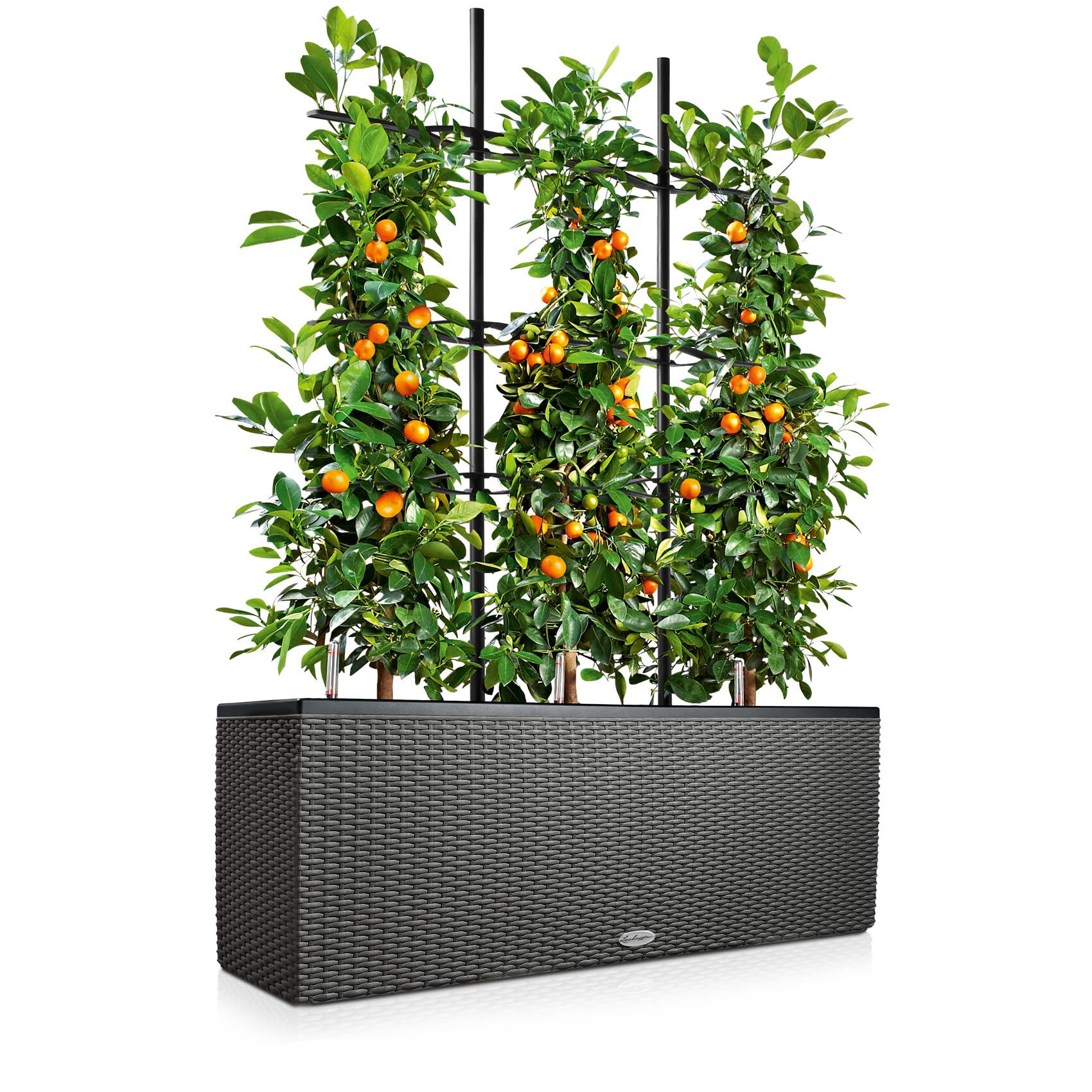 Lechuza Cottage Trio Pot de Fleurs d'Extérieur et d'Intérieur avec Réserve d'Eau Intégrée Granit 100 x 32 x 34 cm
