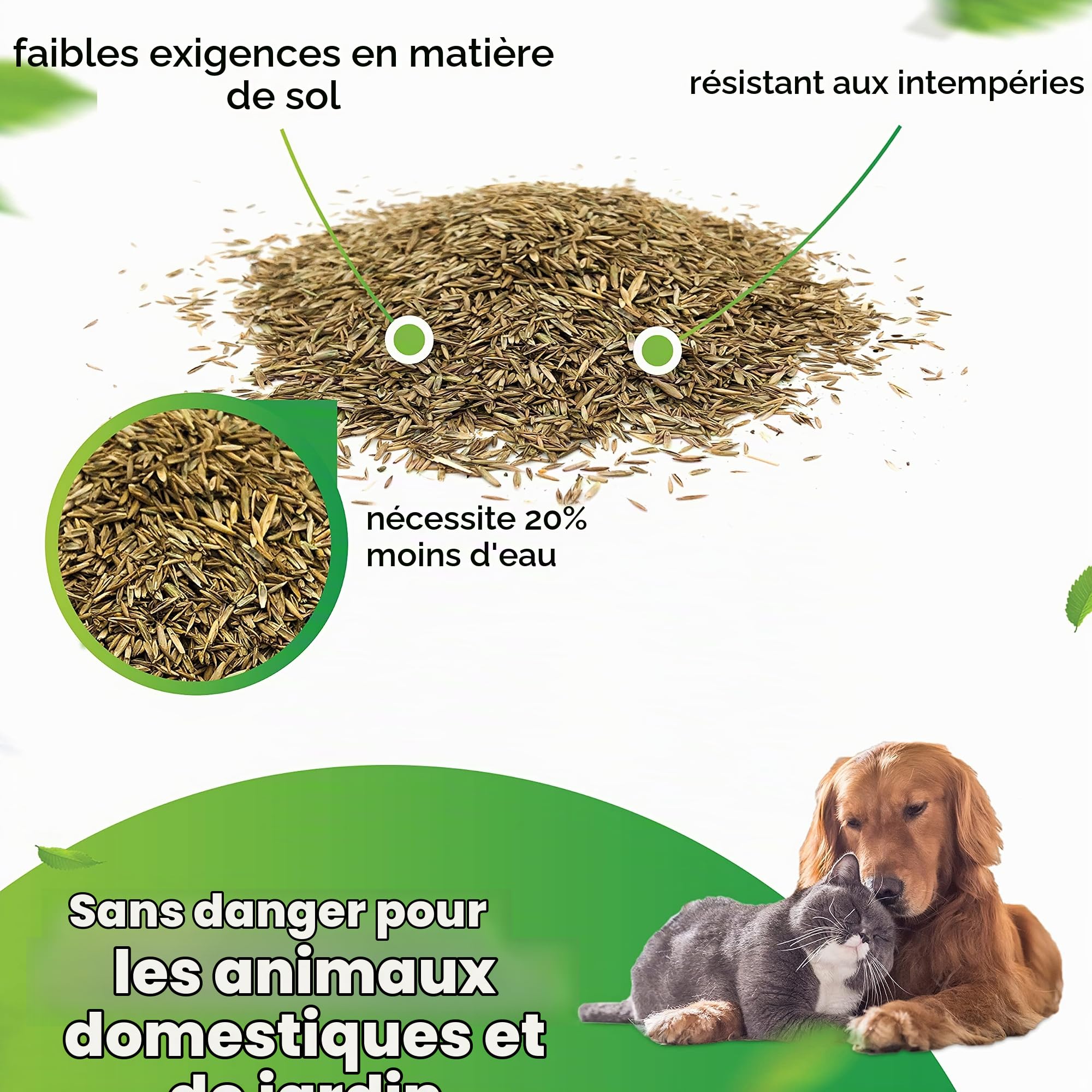Greenyp® Sunny - Semences de gazon sec résistantes à la sécheresse - 30 kg pour 1200 m² - Semences d'herbe à germination rapide