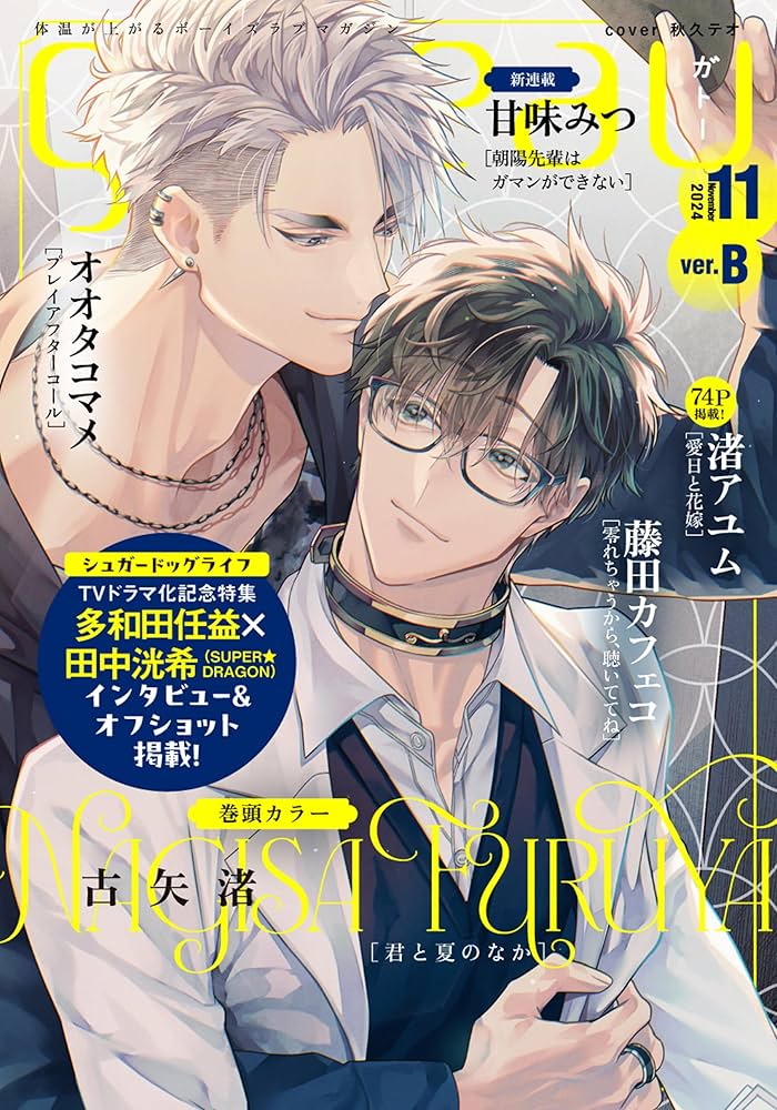 最新号　Gateaux ガトー　2021年〜2025年8月　38冊 最新号 Gateaux ガトー 2021年〜2025年8月 38冊 gateau（ガトー） 2025