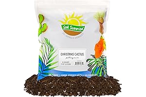 Christmas Cactus Potting Soil Mix: Nurture Your Festive Bloom